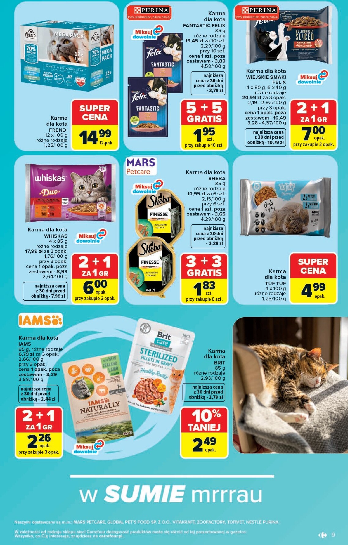 carrefour - Nowa gazetka Carrefour - Zoo katek ważna od 22.06.2026 do 04.07.2026 - page: 9