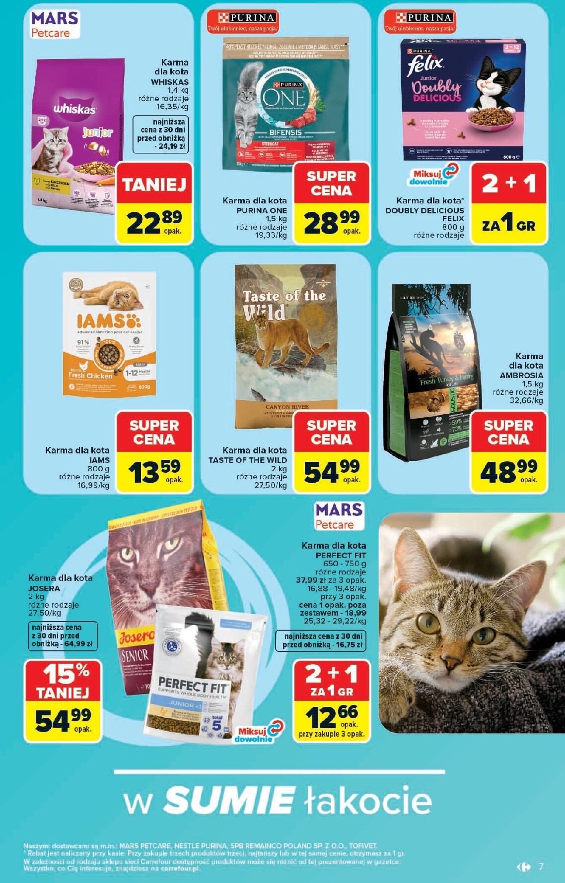 carrefour - Nowa gazetka Carrefour - Zoo katek ważna od 22.06.2026 do 04.07.2026 - page: 7