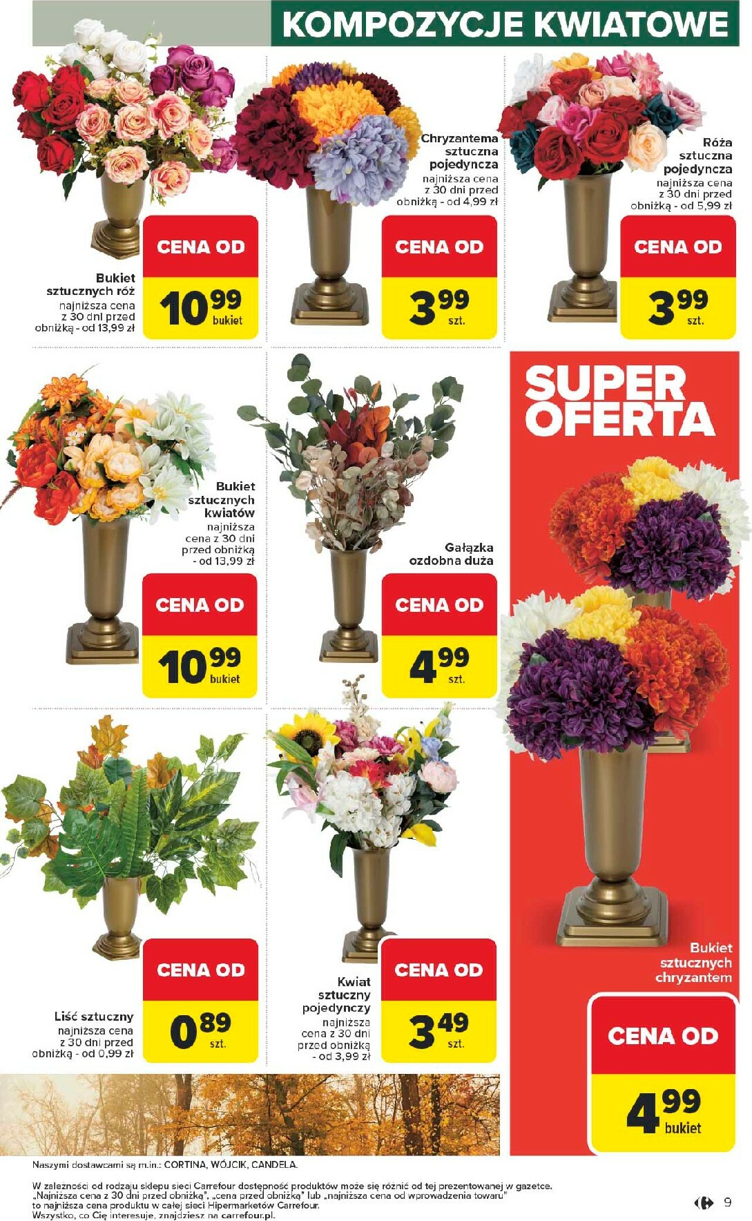 carrefour - Gazetka Carrefour - Łap super okazje od czwartku! - ważna od 09.10. do 22.10. - page: 9