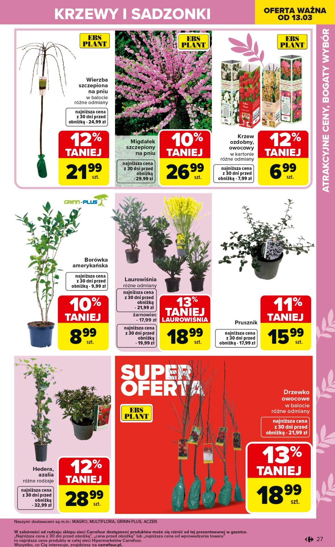 carrefour - Gazetka Carrefour - Ogród - ważna od 02.03.2026 do 04.04.2026 - page: 27