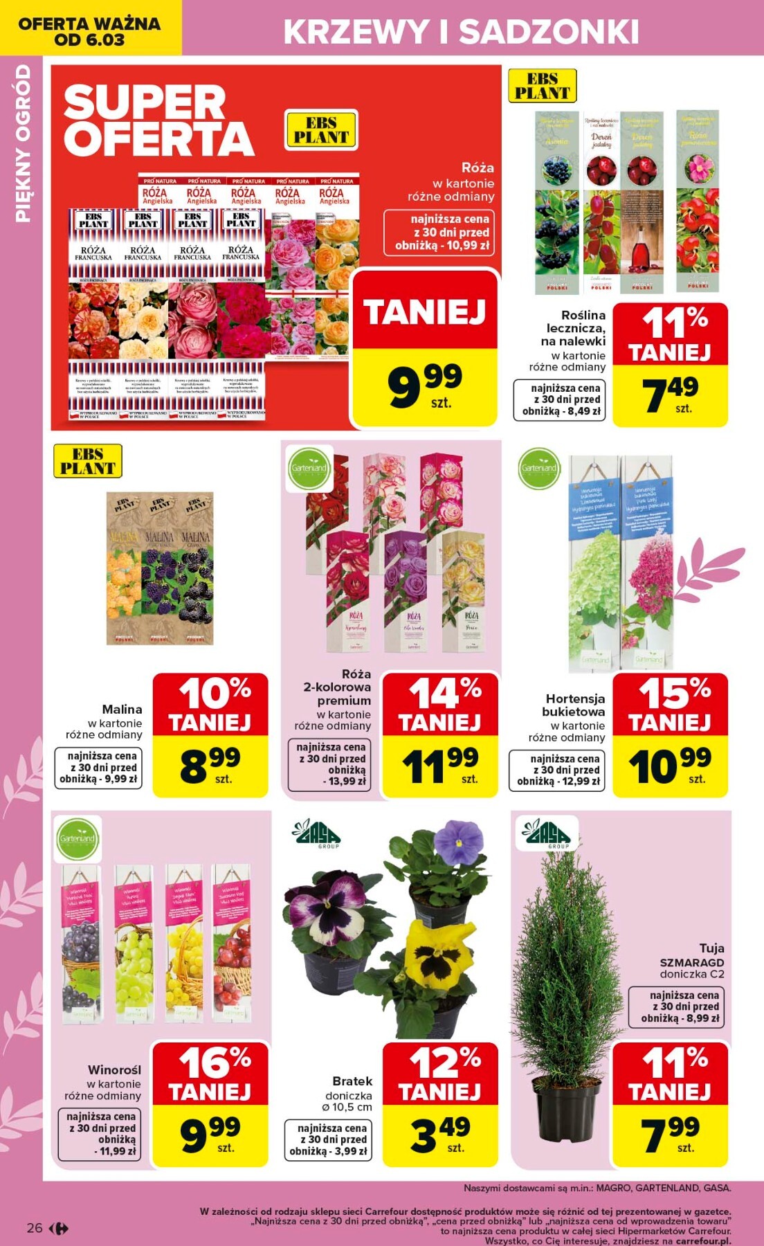carrefour - Gazetka Carrefour - Ogród - ważna od 02.03.2026 do 04.04.2026 - page: 26