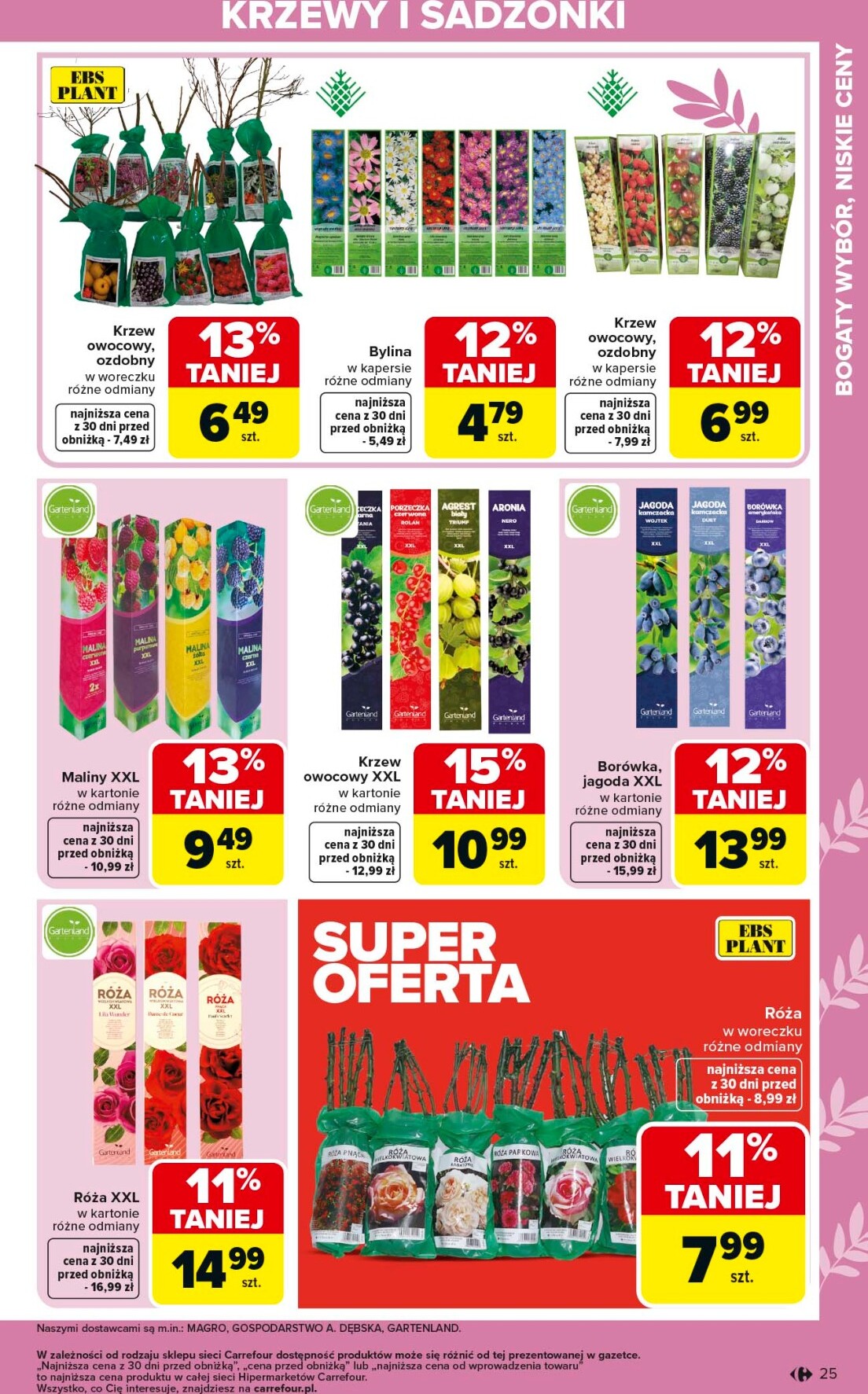 carrefour - Gazetka Carrefour - Ogród - ważna od 02.03.2026 do 04.04.2026 - page: 25