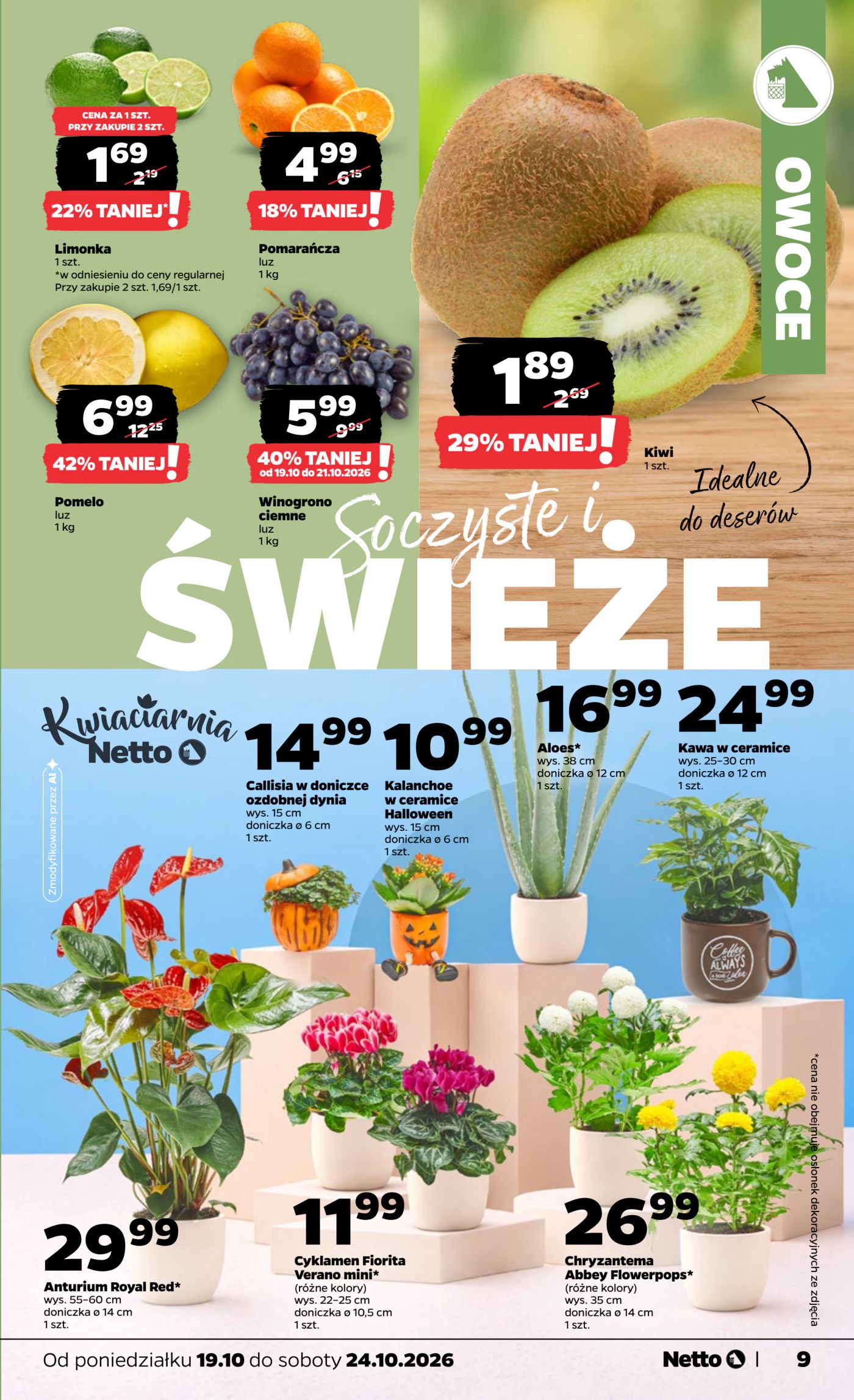 netto - Nowa gazetka Netto - Food ważna od 19.10.2026 do 24.10.2026 - page: 9