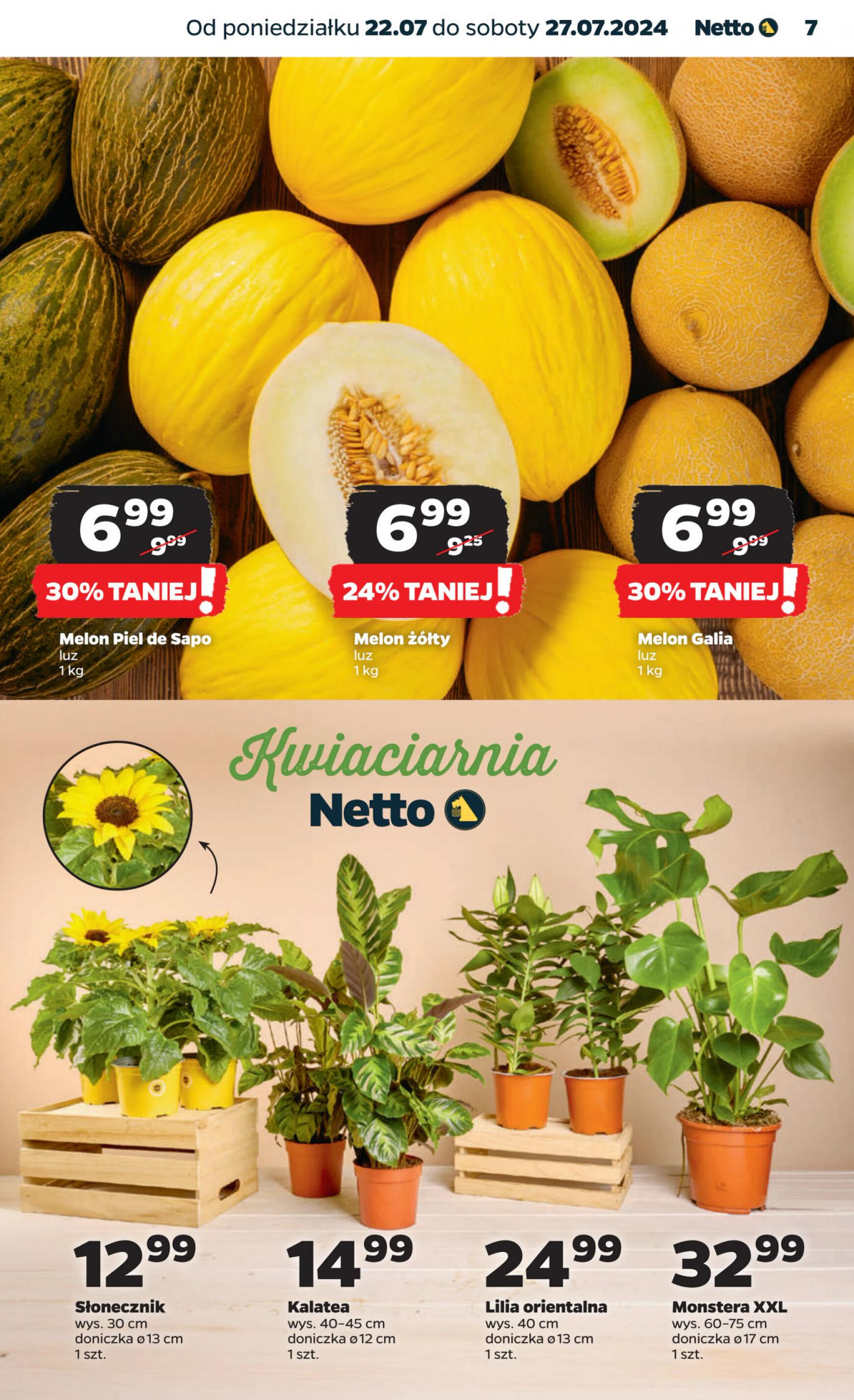 netto - Netto gazetka aktualna ważna od 22.07. - 27.07. - page: 7