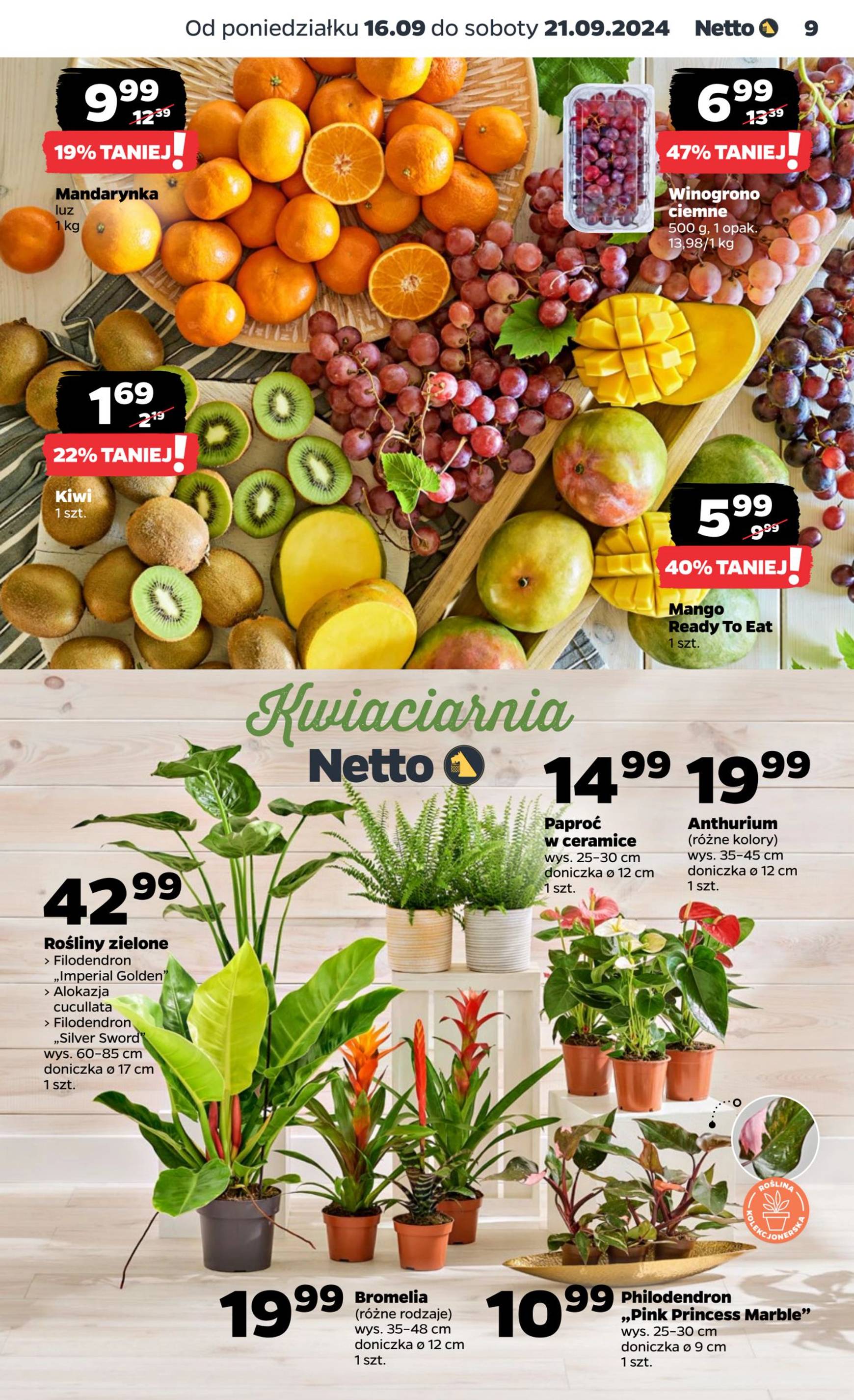 netto - Aktualna Netto gazetka ważna od 16.09. - 21.09. - page: 9