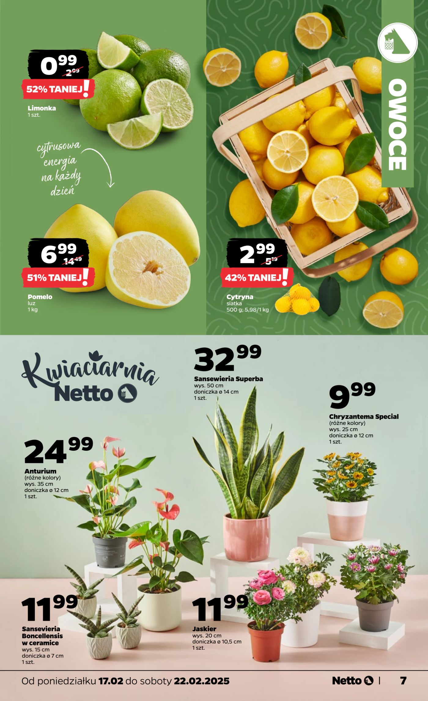 netto - Netto gazetka ważna od 17.02. - 22.02. - page: 7