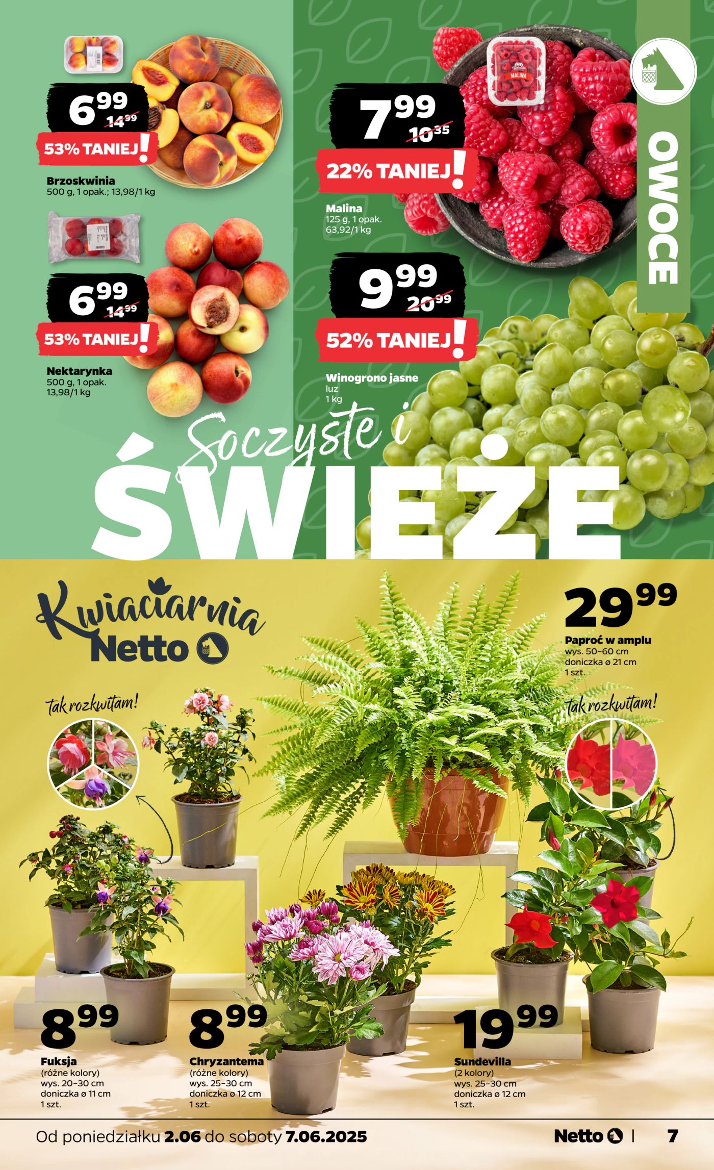 netto - Netto gazetka ważna od 02.06. - 07.06. - page: 7