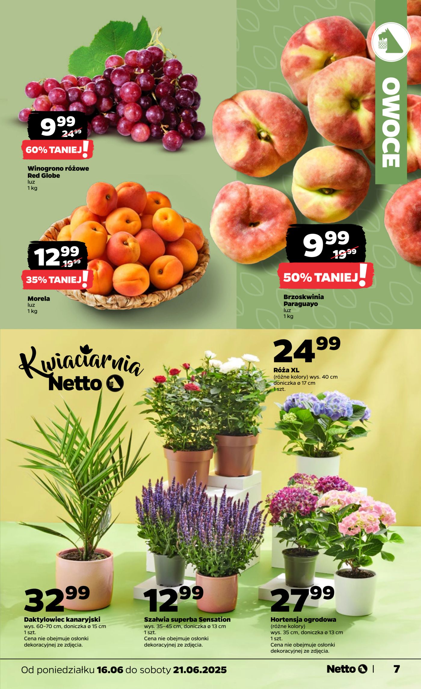 netto - Gazetka Netto ważna od 16.06. - 21.06. - page: 7