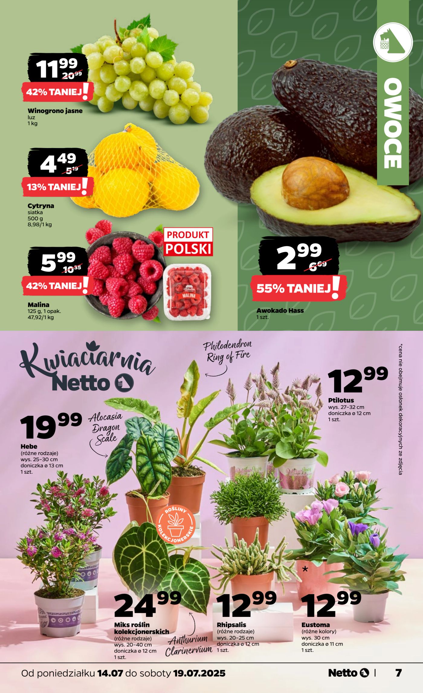 netto - Gazetka Netto ważna od 14.07. - 19.07. - page: 7