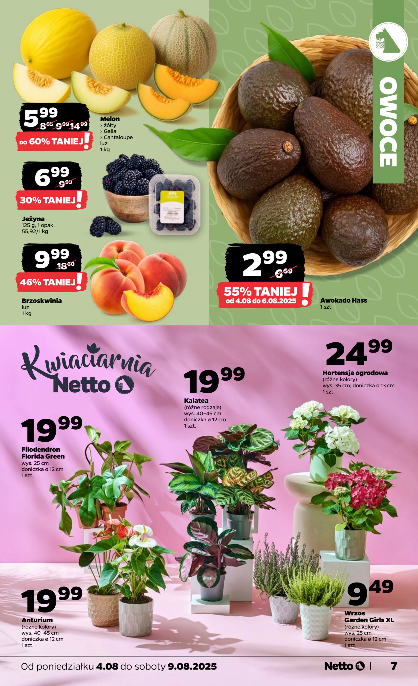 netto - Gazetka Netto - ważna od 04.08. do 09.08. - page: 7