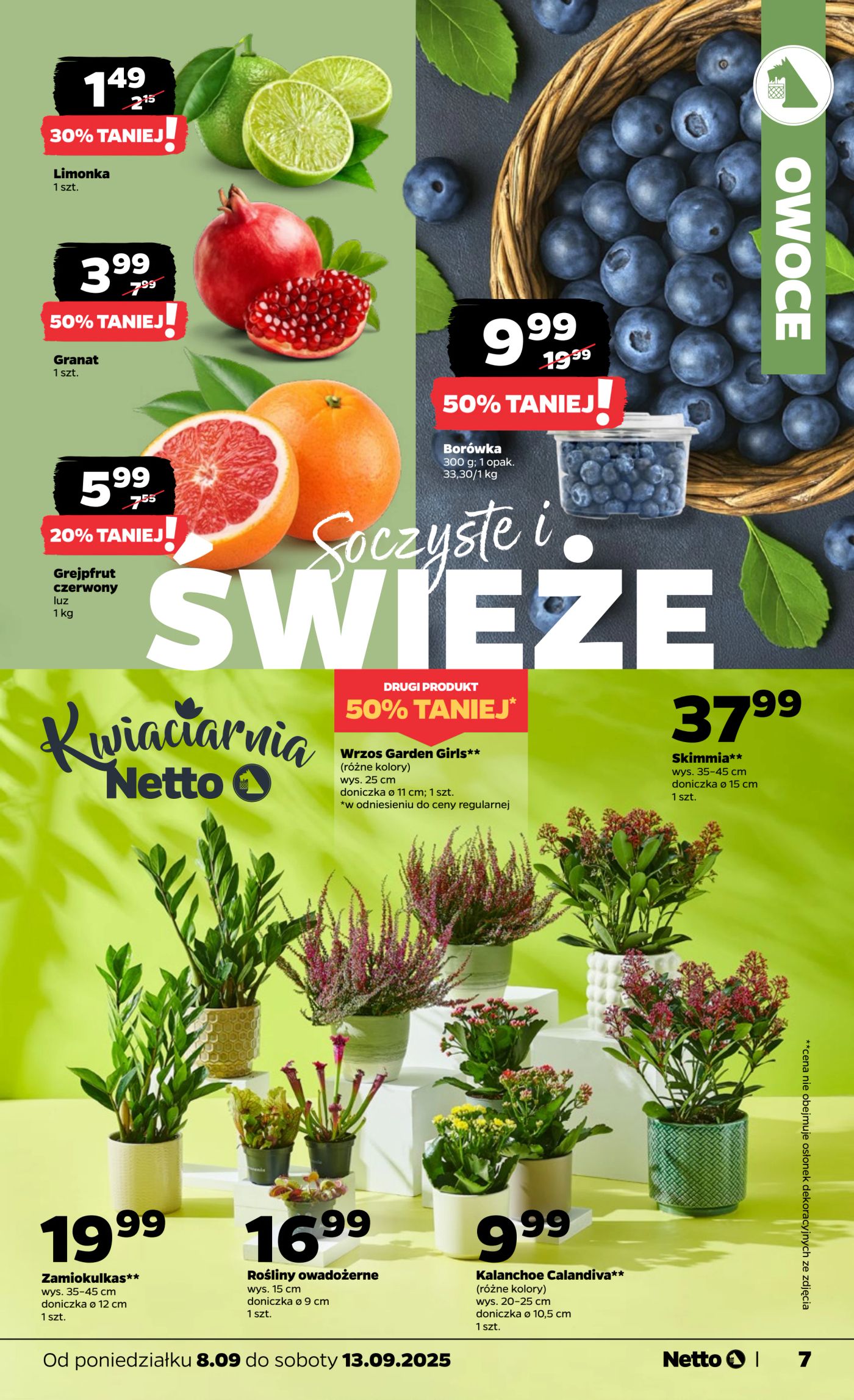 netto - Gazetka Netto - ważna od 08.09. do 13.09. - page: 7