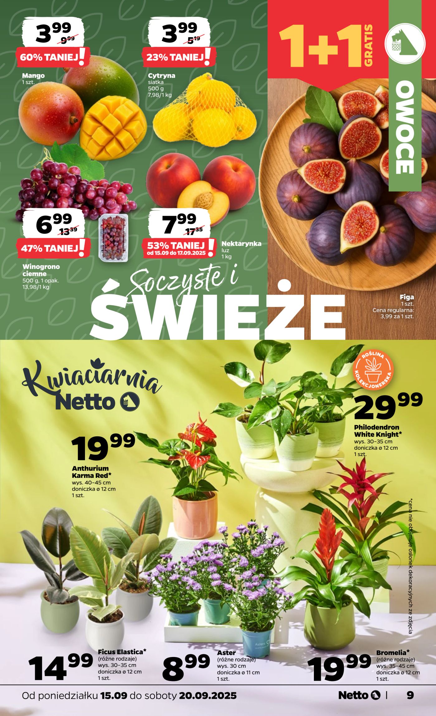netto - Gazetka Netto - Food - ważna od 15.09. do 20.09. - page: 9