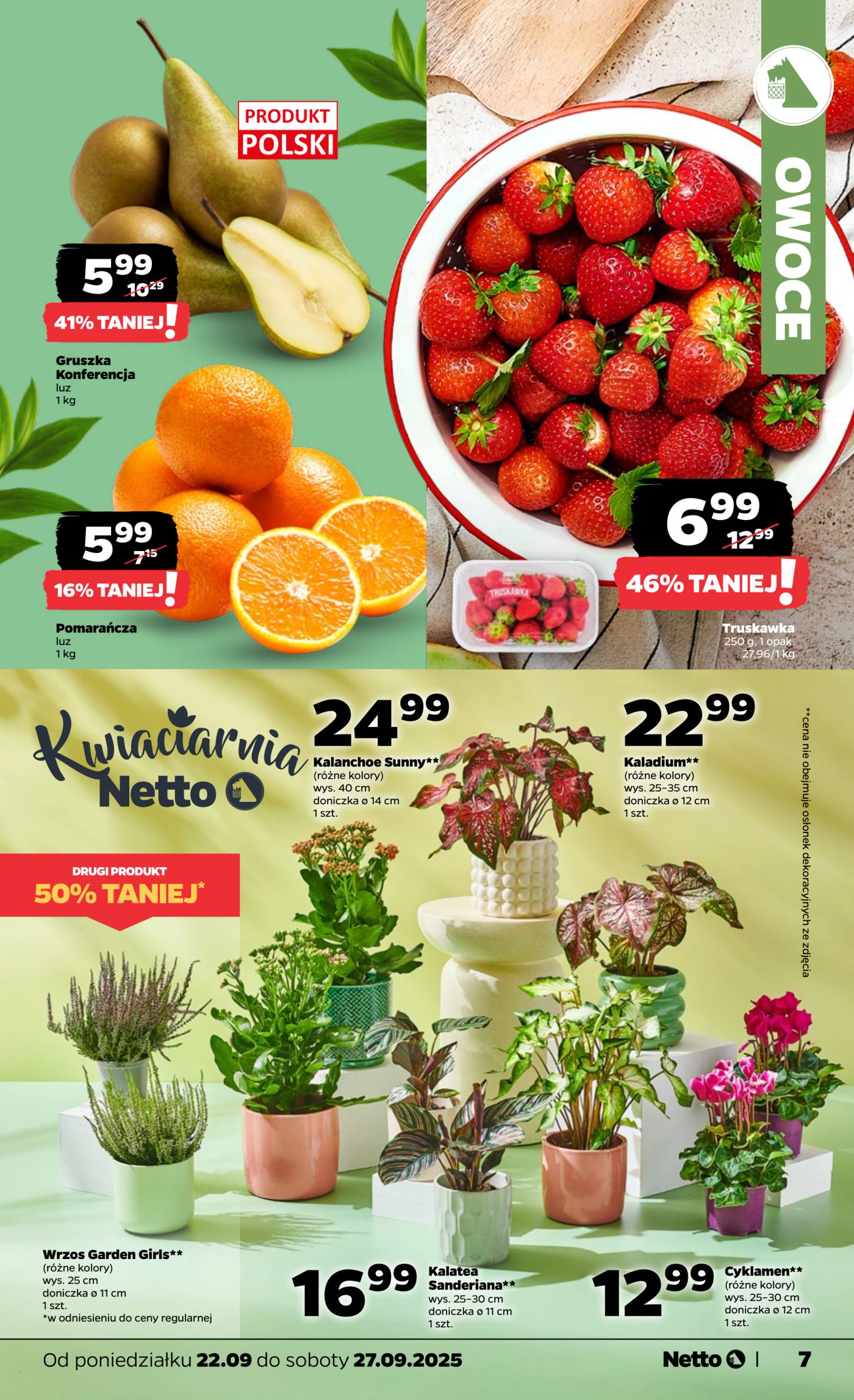 netto - Gazetka Netto - ważna od 22.09. do 27.09. - page: 7