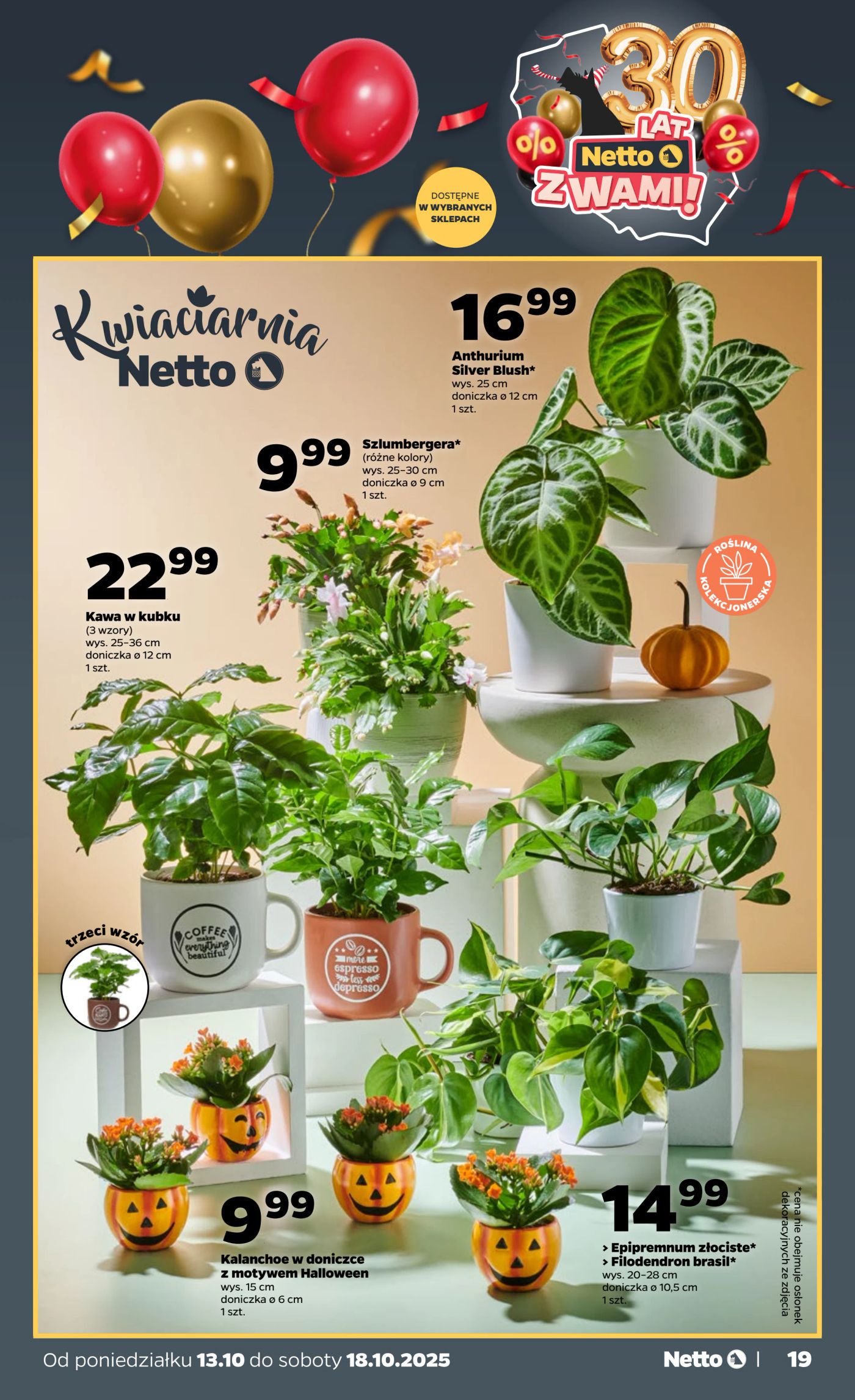 netto - Gazetka Netto - ważna od 13.10. do 18.10. - page: 19