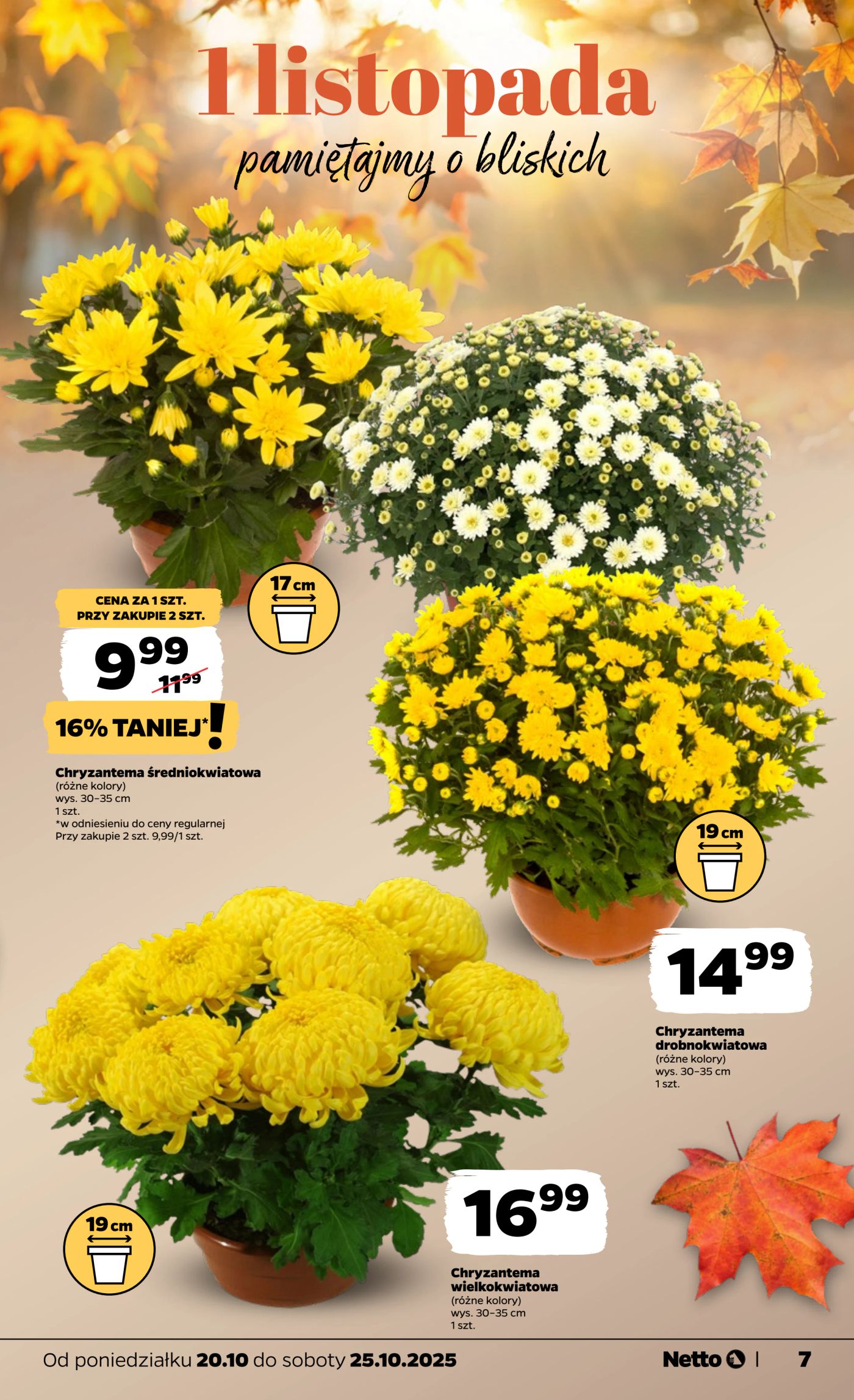 netto - Gazetka Netto - ważna od 20.10. do 25.10. - page: 7