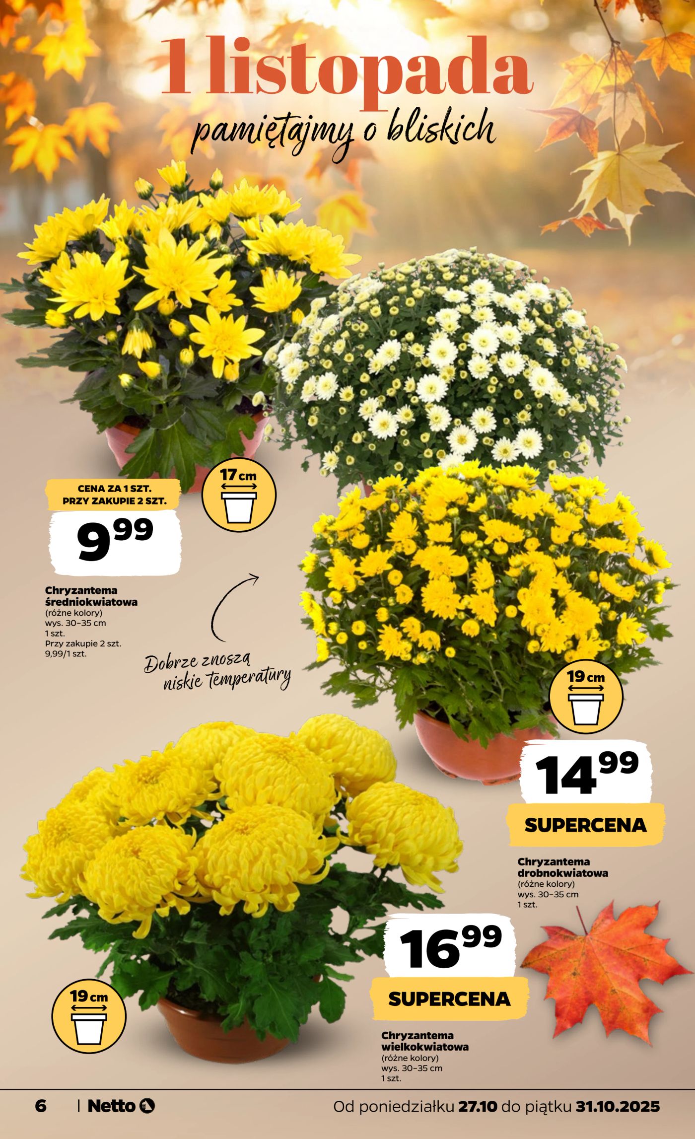 netto - Gazetka Netto - ważna od 27.10. do 31.10. - page: 6