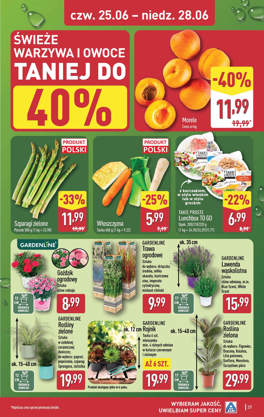 aldi - Nowa gazetka ALDI - Pełna oferta ważna od 22.06.2026 do 28.06.2026 - page: 37