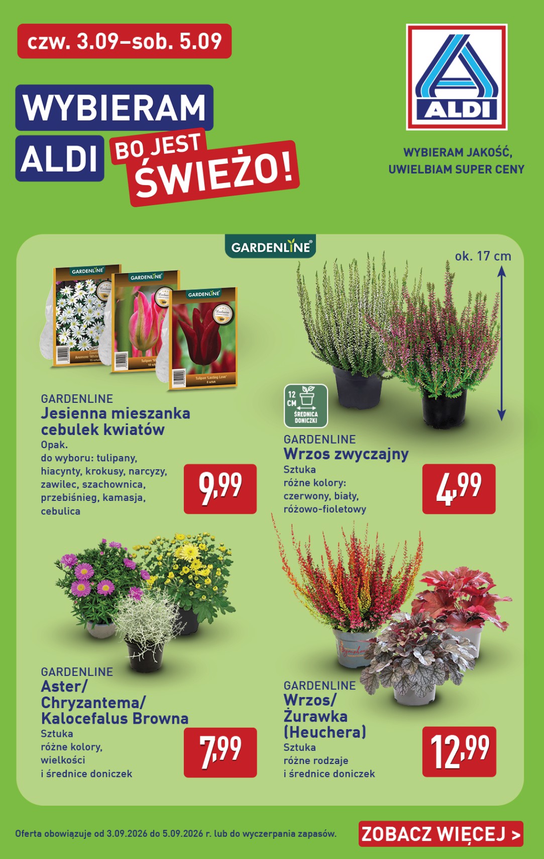 aldi - Nowa gazetka ALDI - Oferta weekendowa ważna od 03.09.2026 do 05.09.2026 - page: 6