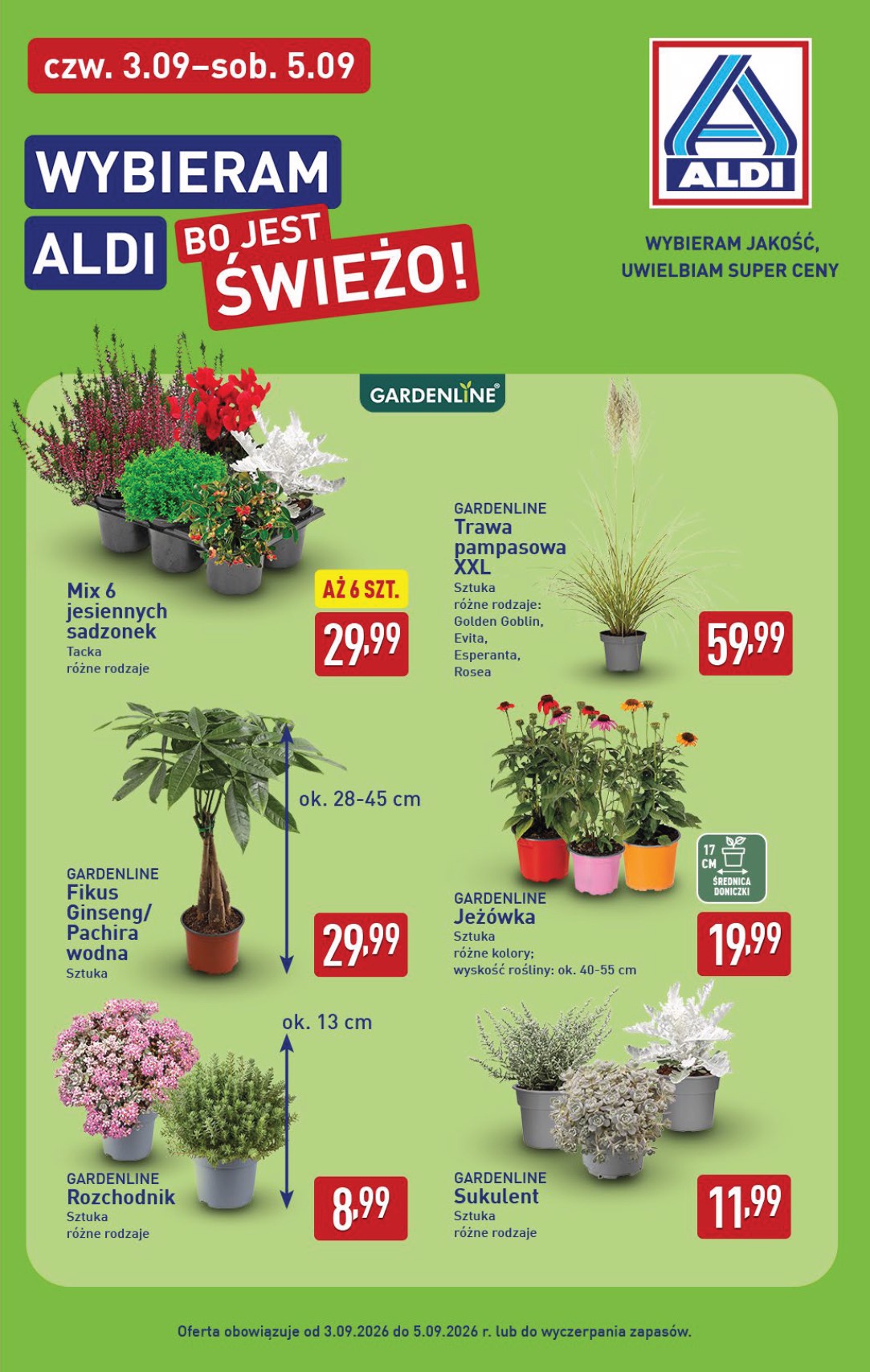 aldi - Nowa gazetka ALDI - Oferta weekendowa ważna od 03.09.2026 do 05.09.2026 - page: 7