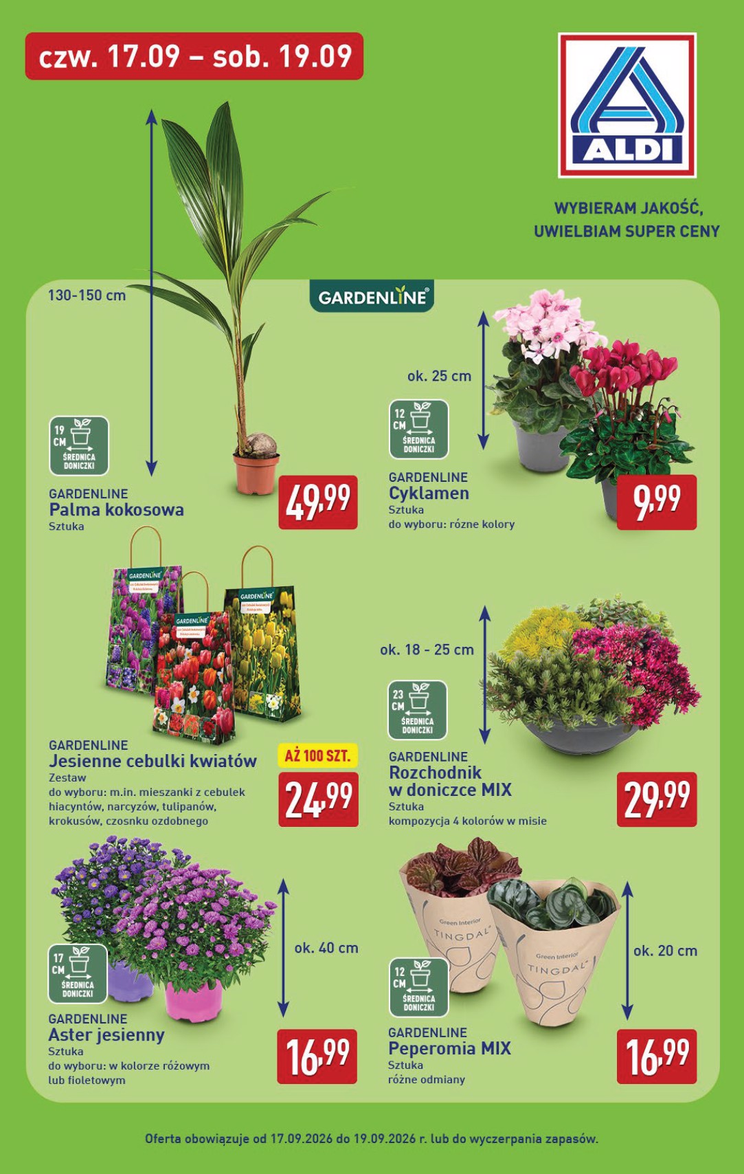 aldi - Aktualna gazetka ALDI - Oferta weekendowa ważna od 17.09.2026 do 19.09.2026 - page: 9