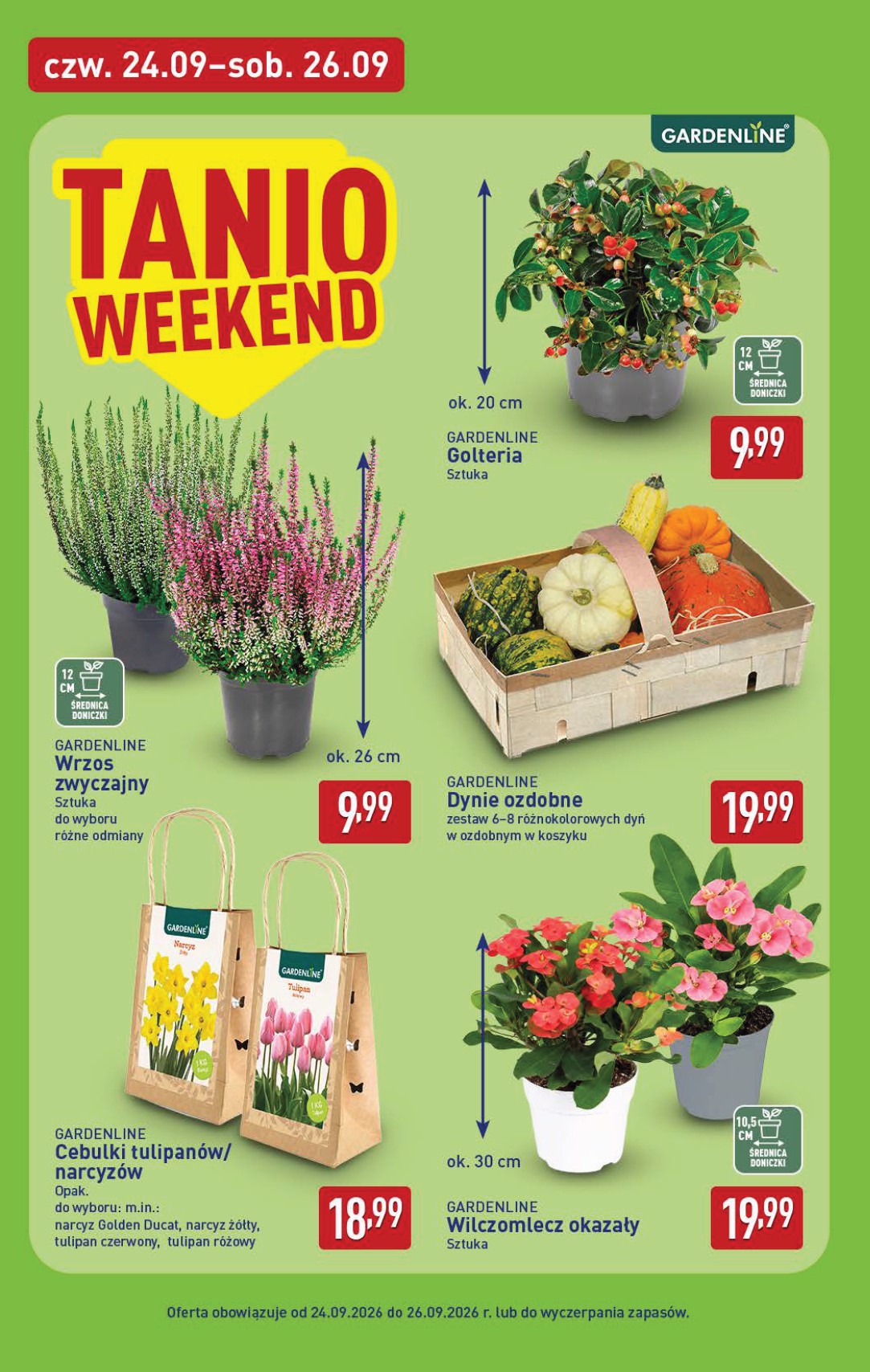 aldi - Nowa gazetka ALDI ważna od 21.09.2026 do 26.09.2026 - page: 38