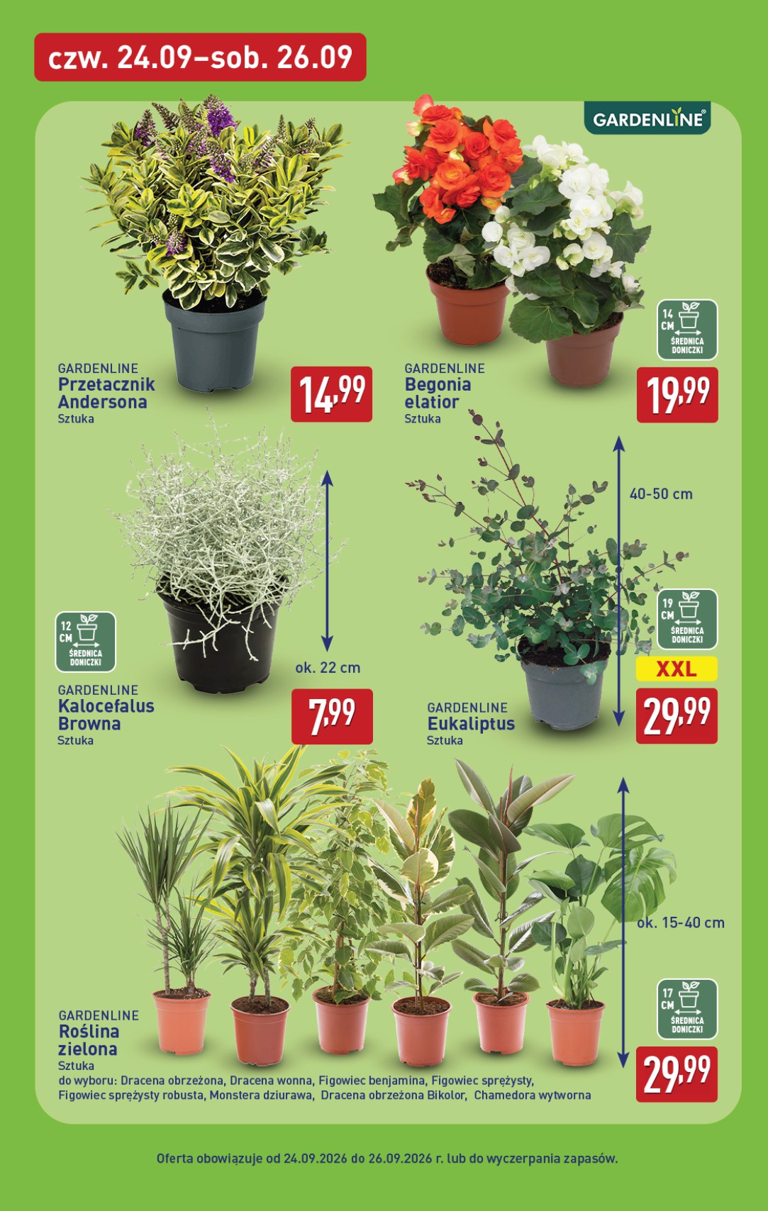 aldi - Nowa gazetka ALDI ważna od 21.09.2026 do 26.09.2026 - page: 39