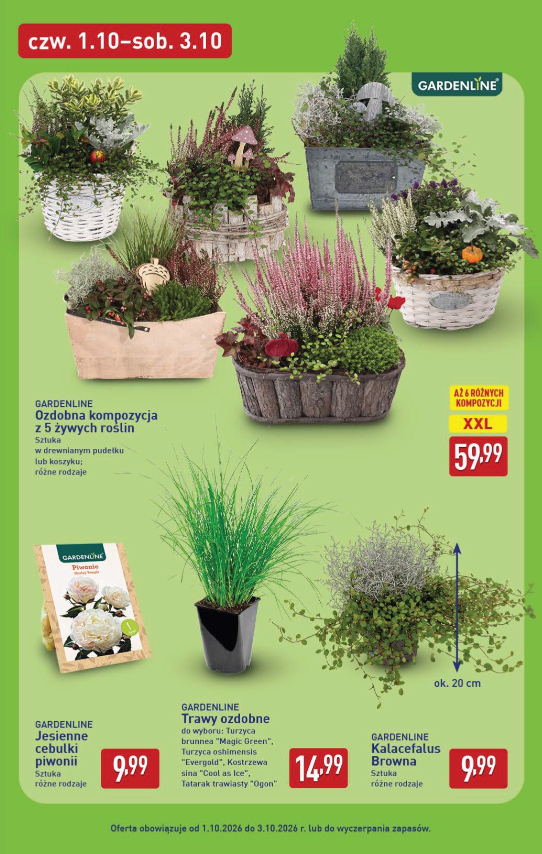 aldi - Nowa gazetka ALDI ważna od 28.09.2026 do 03.10.2026 - page: 43
