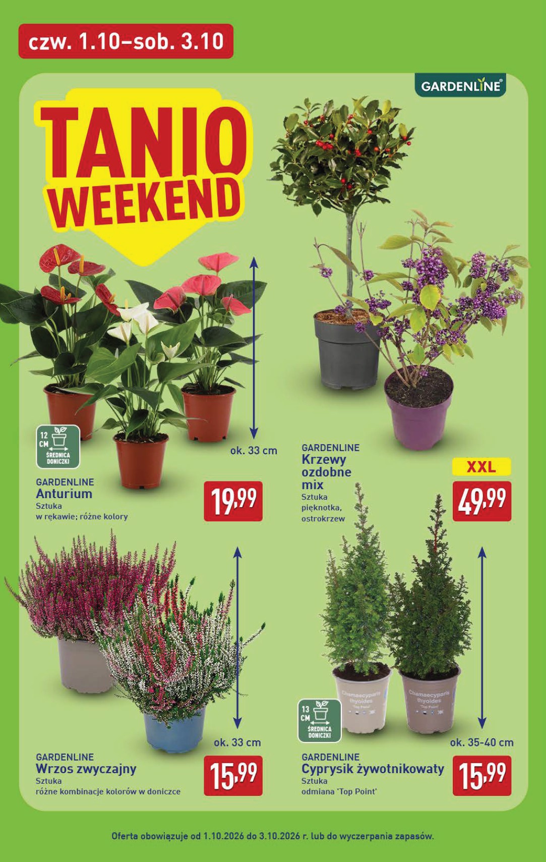 aldi - Aktualna gazetka ALDI - Oferta weekendowa ważna od 01.10.2026 do 03.10.2026 - page: 6