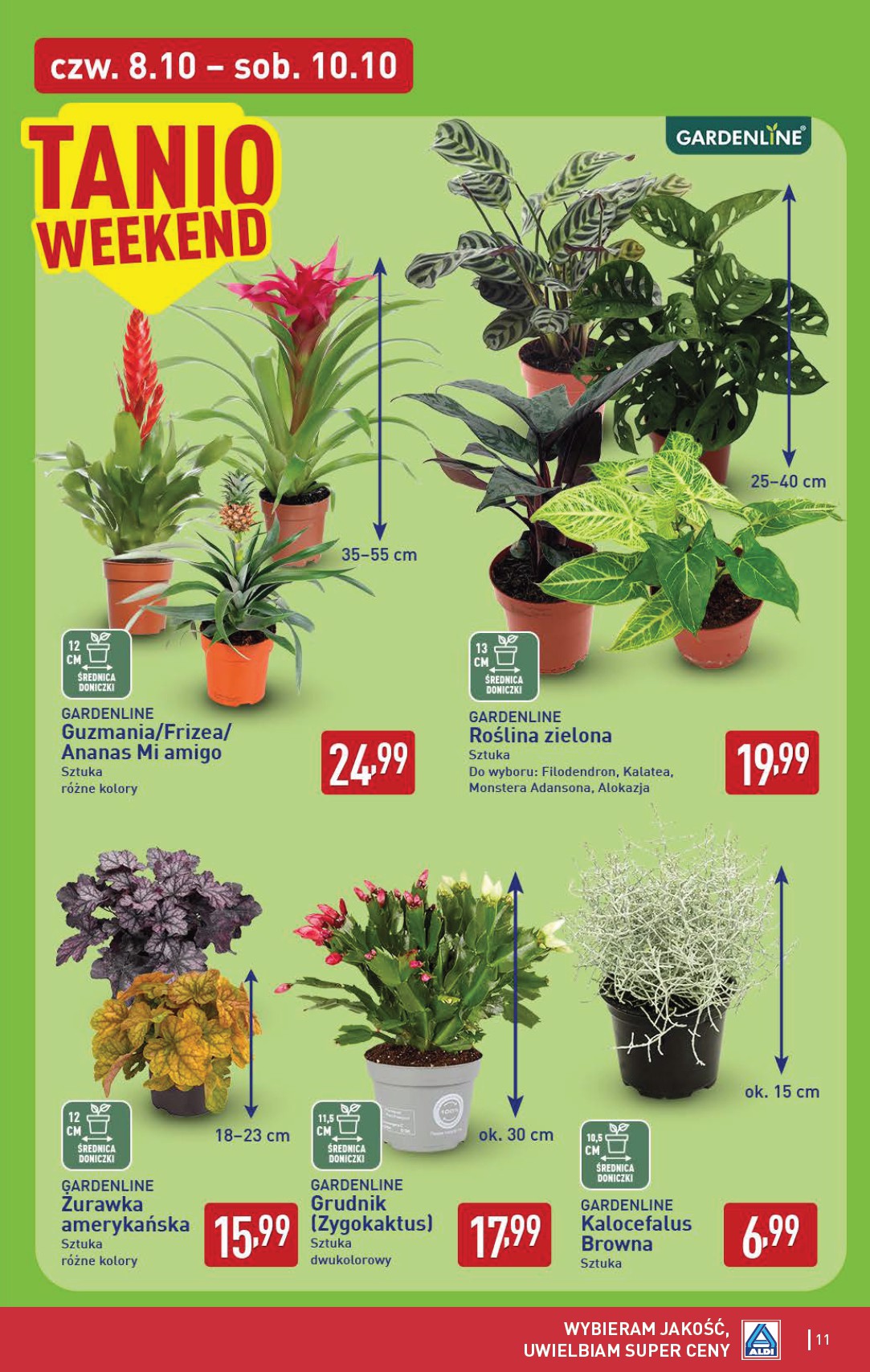 aldi - Aktualna gazetka ALDI - Oferta weekndowa ważna od 08.10.2026 do 10.10.2026 - page: 11