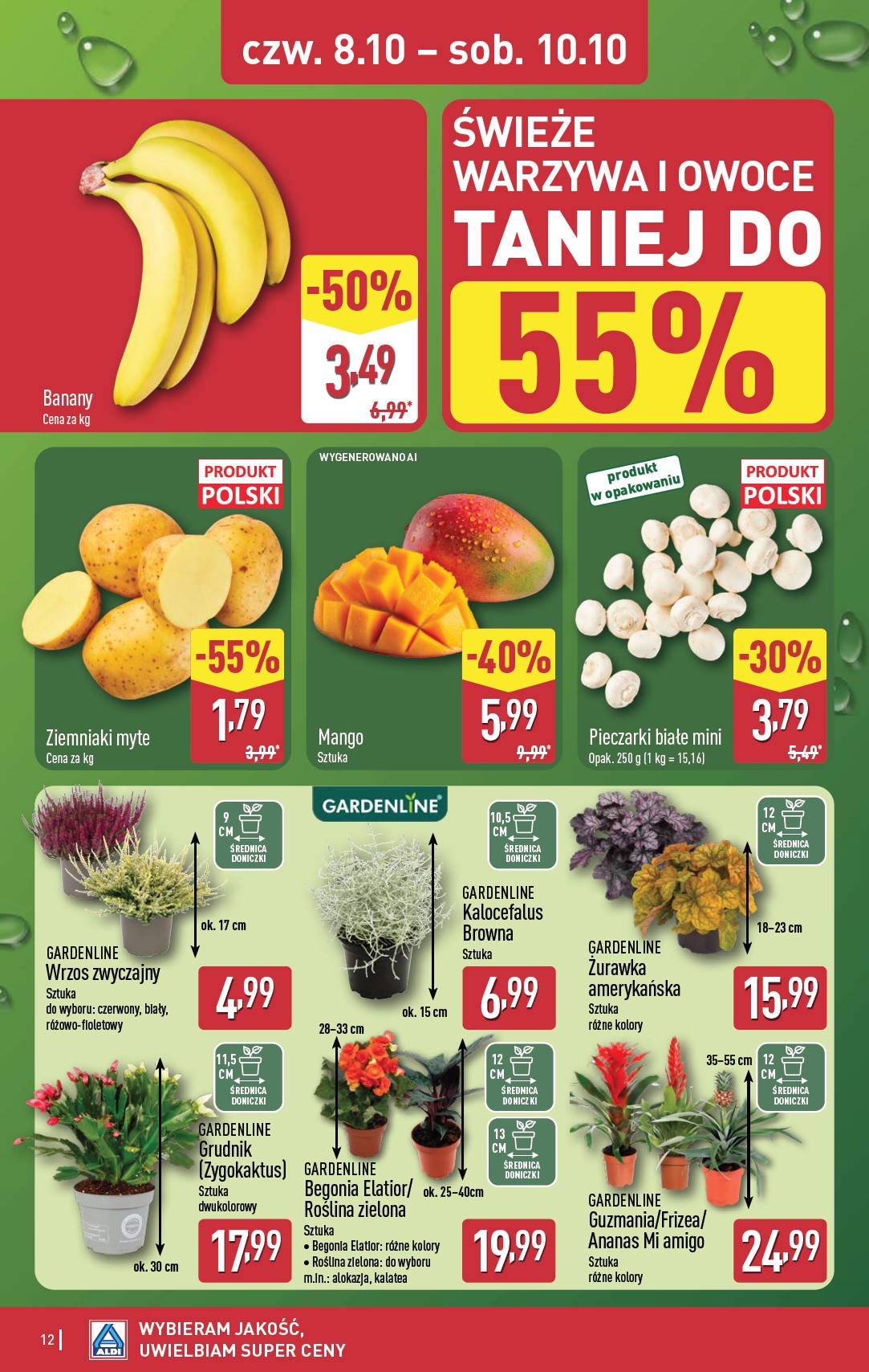 aldi - Aktualna gazetka ALDI - Oferta weekndowa ważna od 08.10.2026 do 10.10.2026 - page: 12