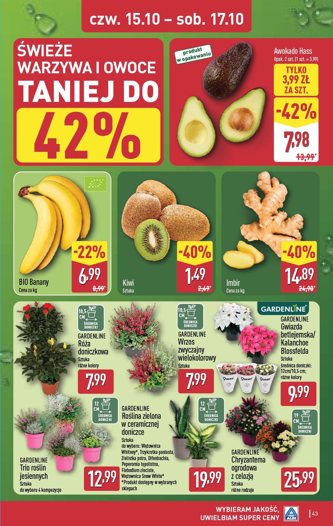 aldi - Nowa gazetka ALDI ważna od 12.10.2026 do 17.10.2026 - page: 43