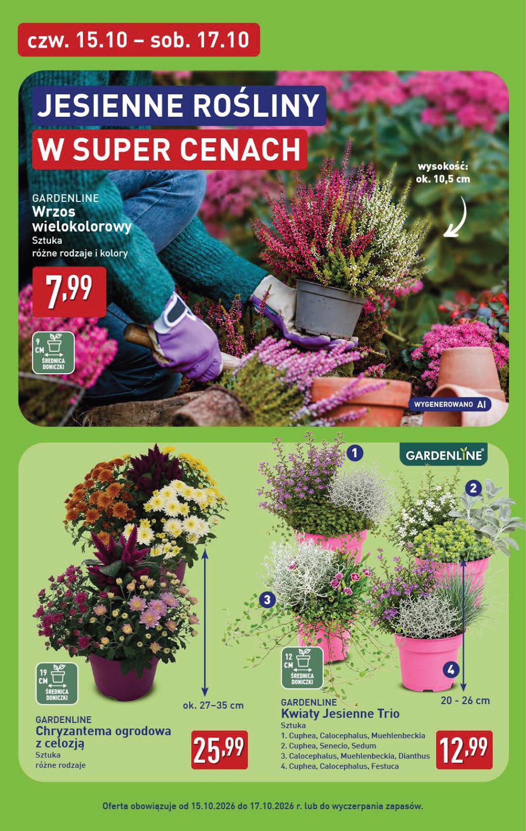 aldi - Nowa gazetka ALDI - Oferta weekendowa ważna od 15.10.2026 do 17.10.2026 - page: 6