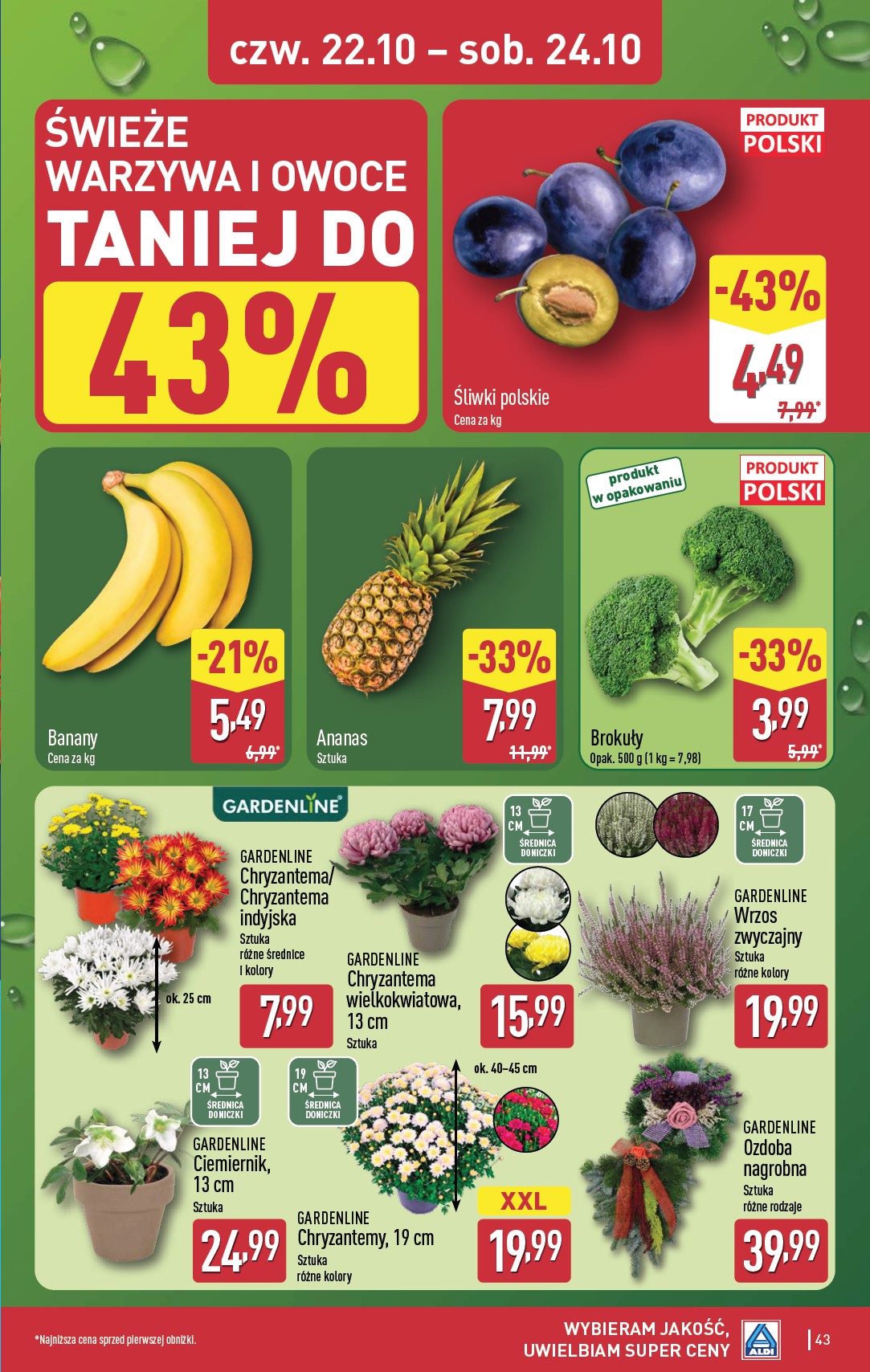 aldi - Nowa gazetka ALDI ważna od 19.10.2026 do 24.10.2026 - page: 43