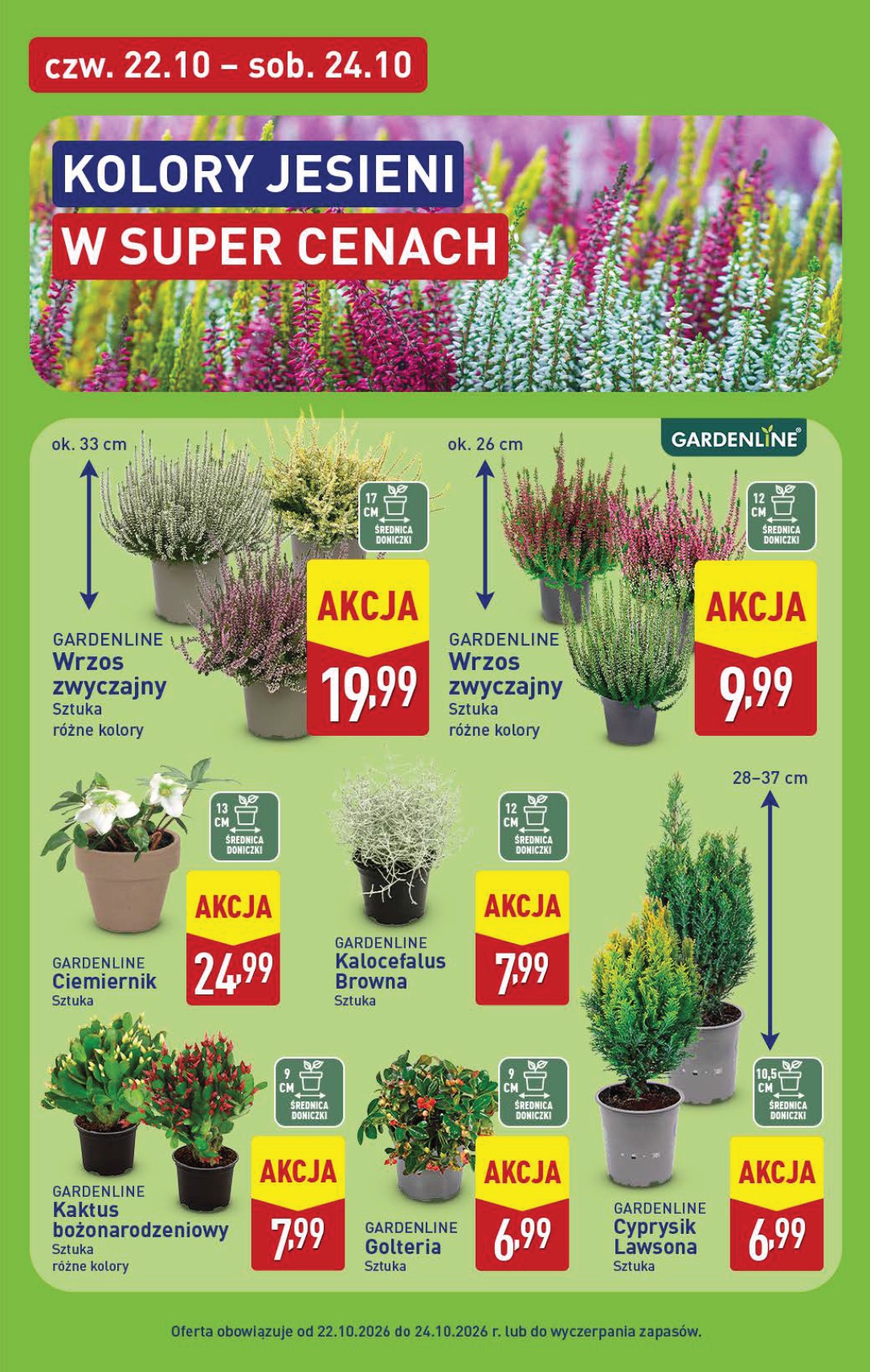aldi - Nowa gazetka ALDI ważna od 19.10.2026 do 24.10.2026 - page: 45