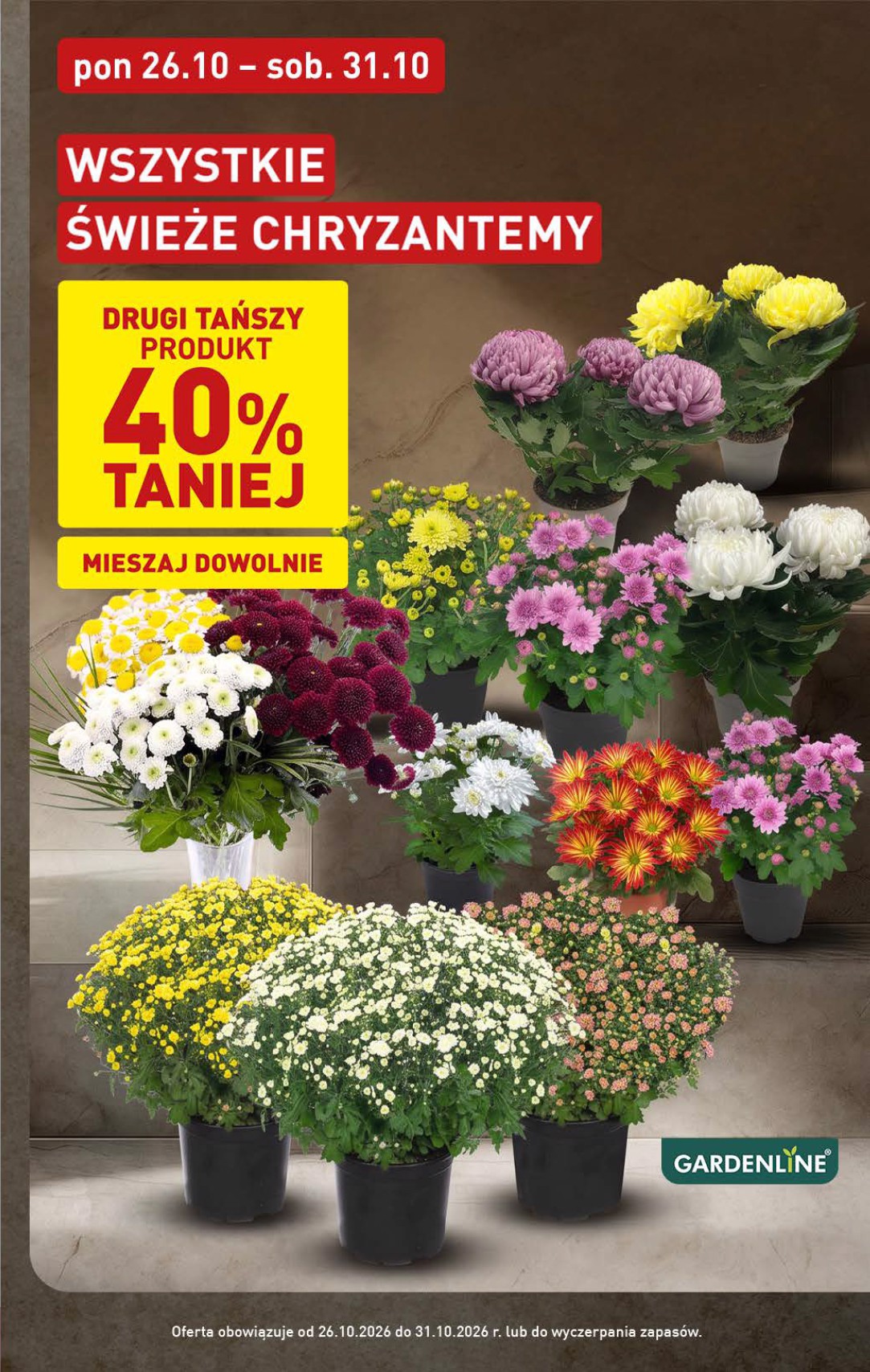 aldi - Aktualna gazetka ALDI ważna od 26.10.2026 do 31.10.2026 - page: 3