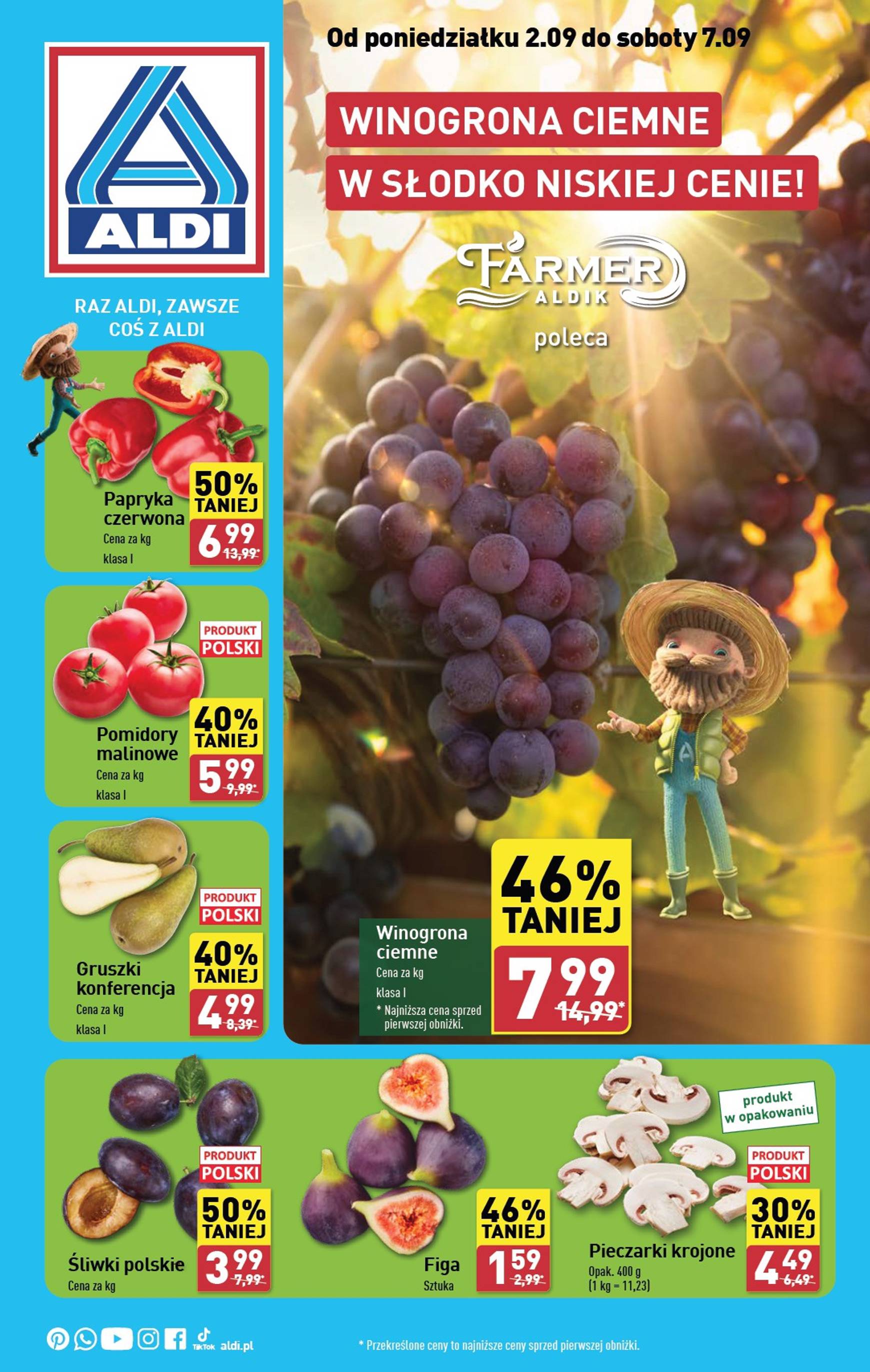 aldi - Aktualna ALDI - Farmer Aldik gazetka ważna od 02.09. - 07.09. - page: 1