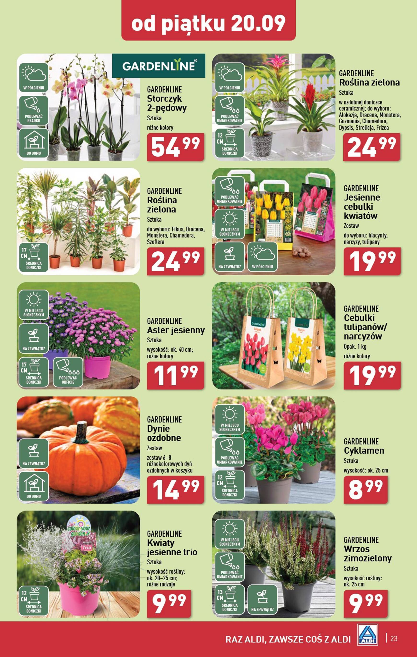 aldi - Aktualna ALDI gazetka ważna od 16.09. - 21.09. - page: 23