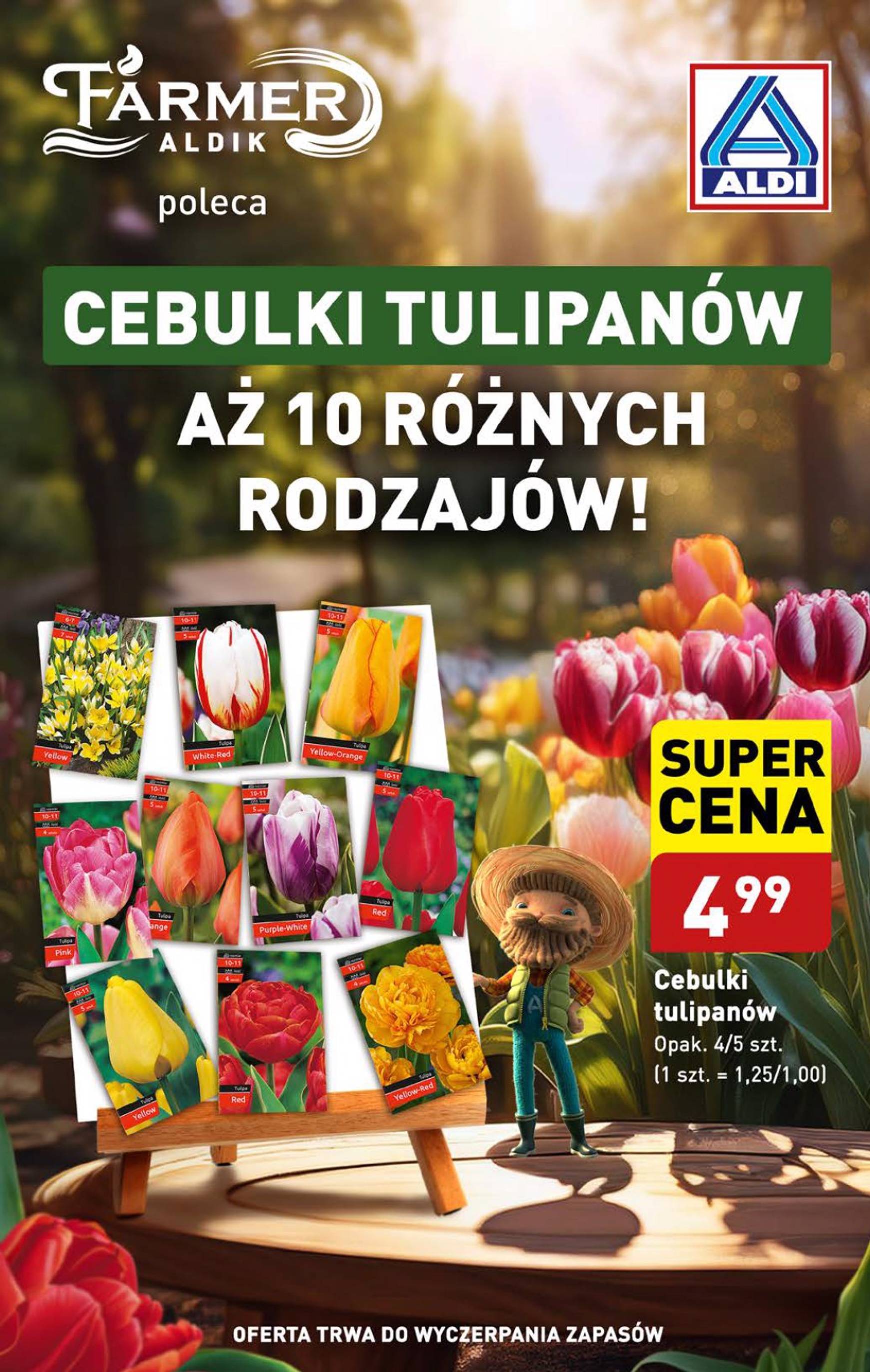 aldi - Aktualna ALDI - Artykuły przemysłowe i tekstylia gazetka ważna od 30.09. - 05.10. - page: 13