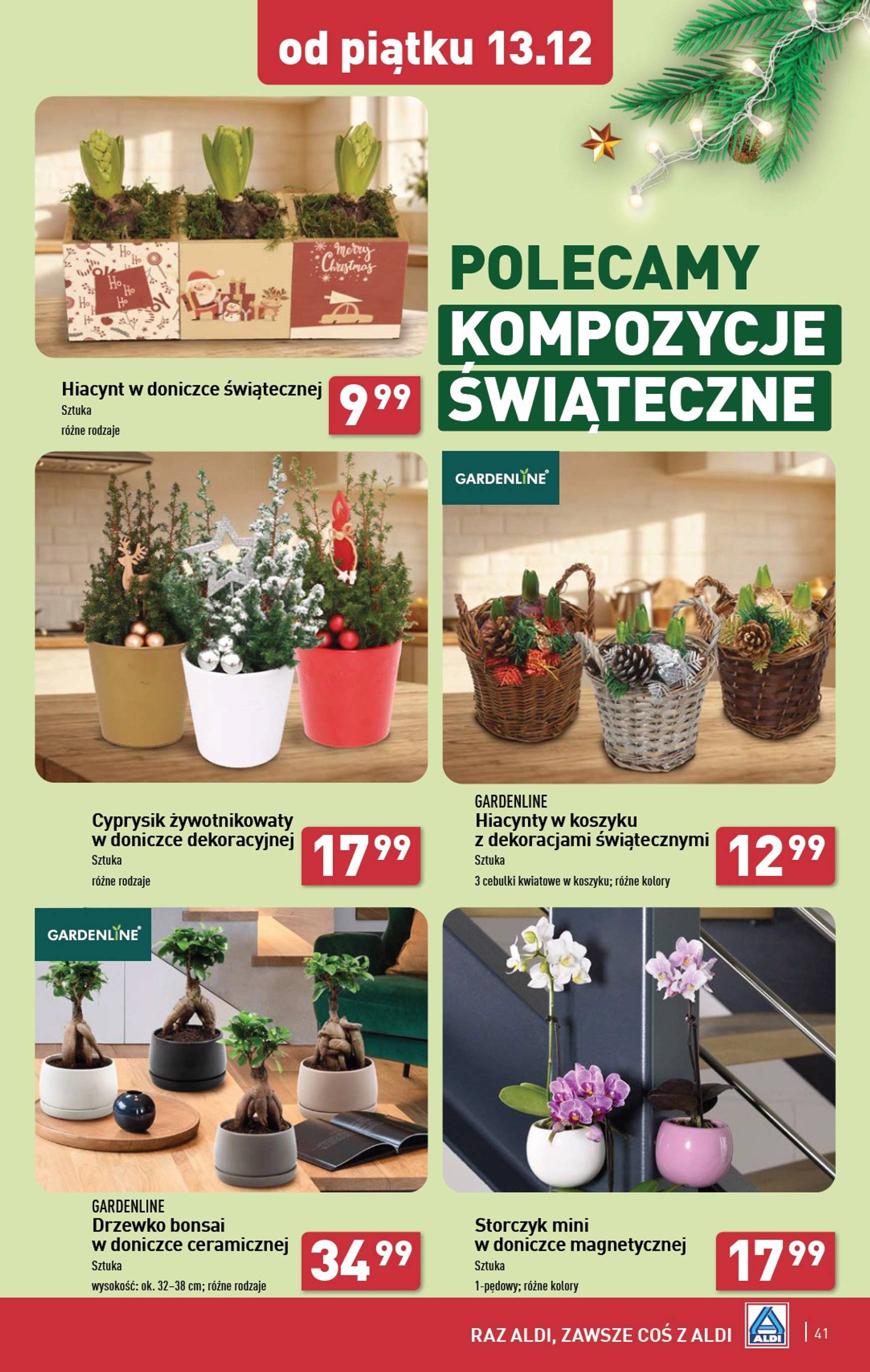 aldi - ALDI gazetka ważna od 09.12. - 15.12. - page: 41