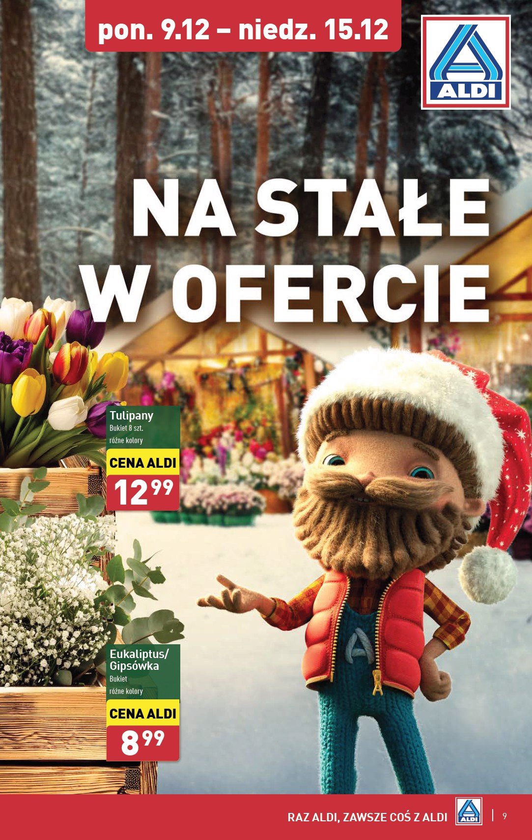 aldi - ALDI - Farmer Aldik gazetka ważna od 09.12. - 15.12. - page: 9