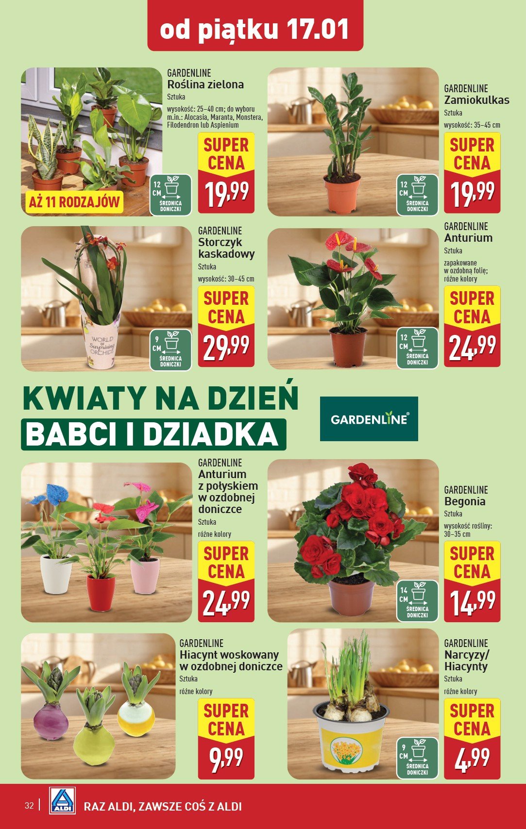 aldi - ALDI gazetka ważna od 13.01. - 18.01. - page: 32