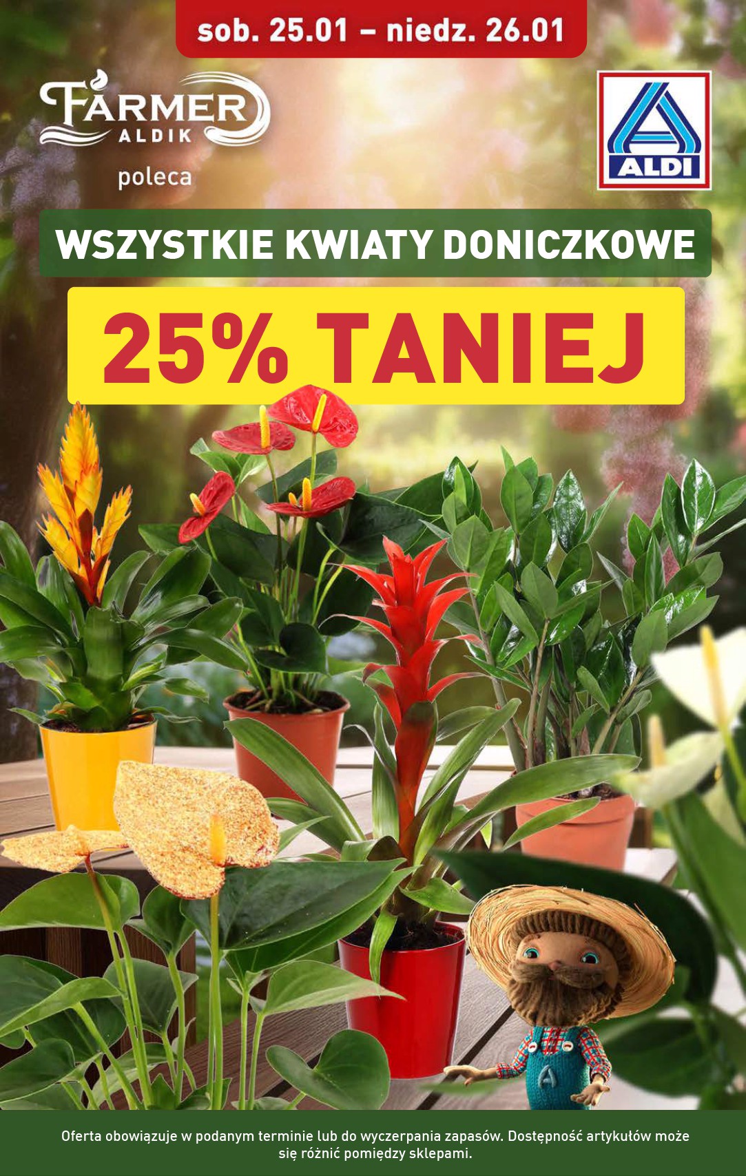 aldi - ALDI - Weekend gazetka ważna od 23.01. - 26.01. - page: 5