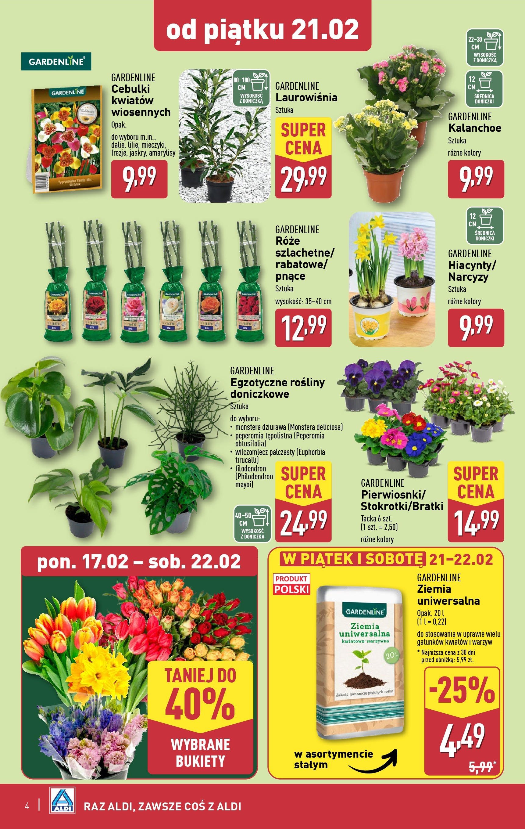 aldi - ALDI - Weekend gazetka ważna od 20.02. - 22.02. - page: 4