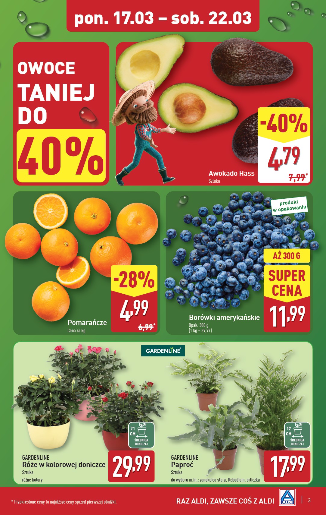 aldi - ALDI gazetka ważna od 17.03. - 22.03. - page: 3