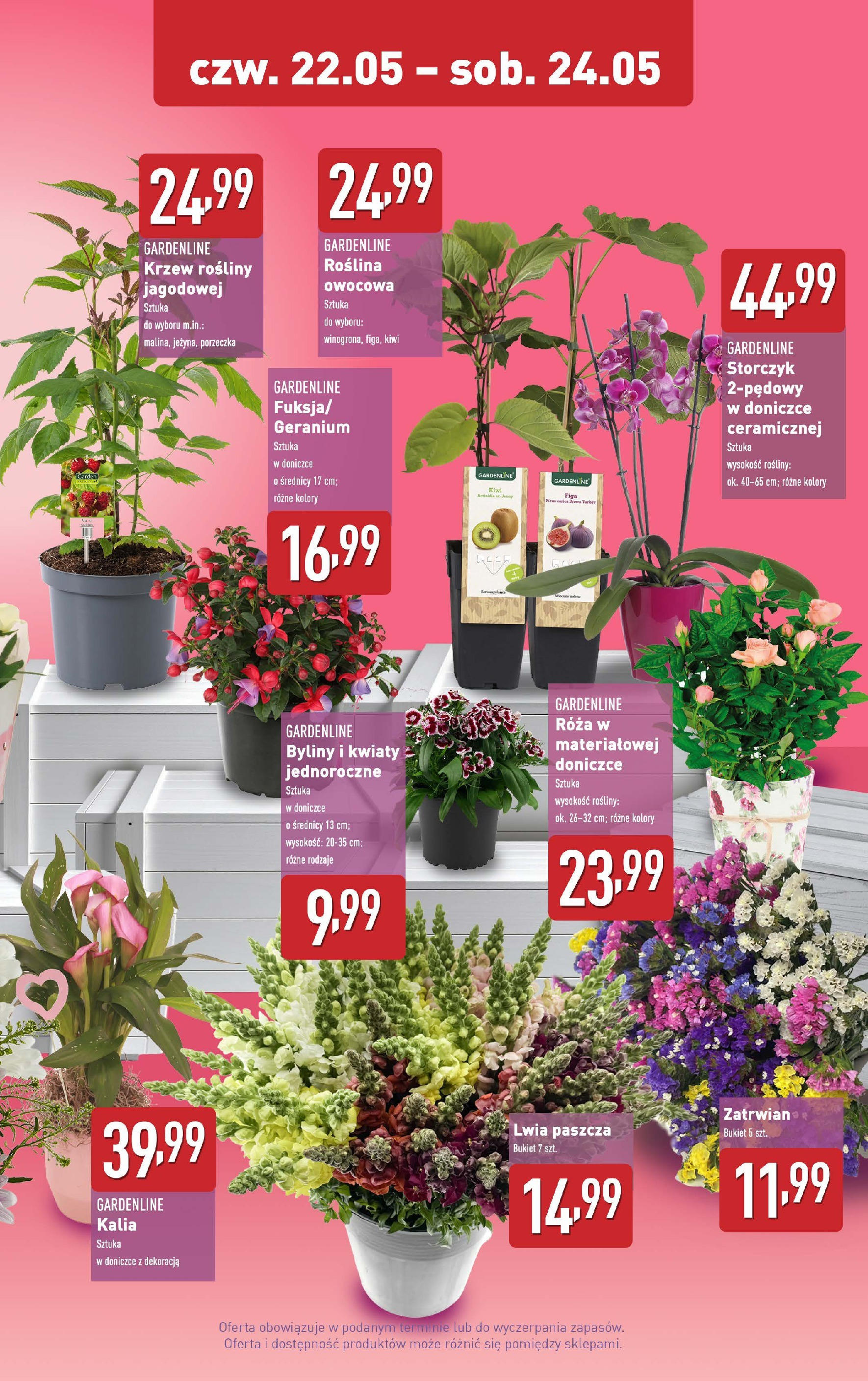 aldi - ALDI - Dzień Matki gazetka ważna od 22.05. - 24.05. - page: 2