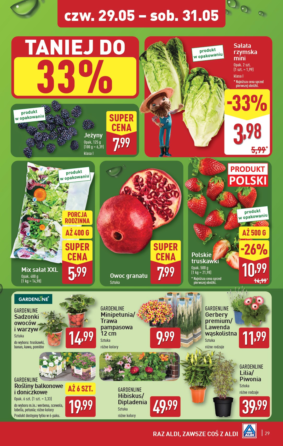 aldi - ALDI gazetka ważna od 26.05. - 31.05. - page: 29