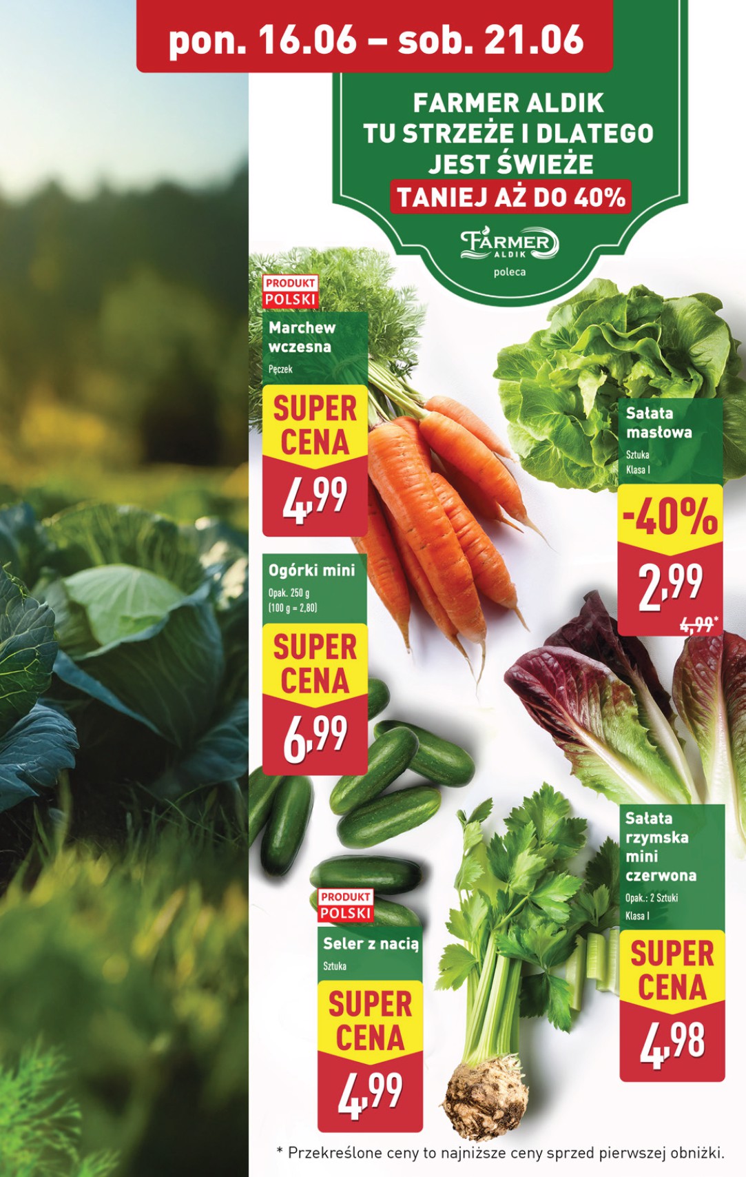 aldi - Gazetka ALDI ważna od 16.06. - 21.06. - page: 5