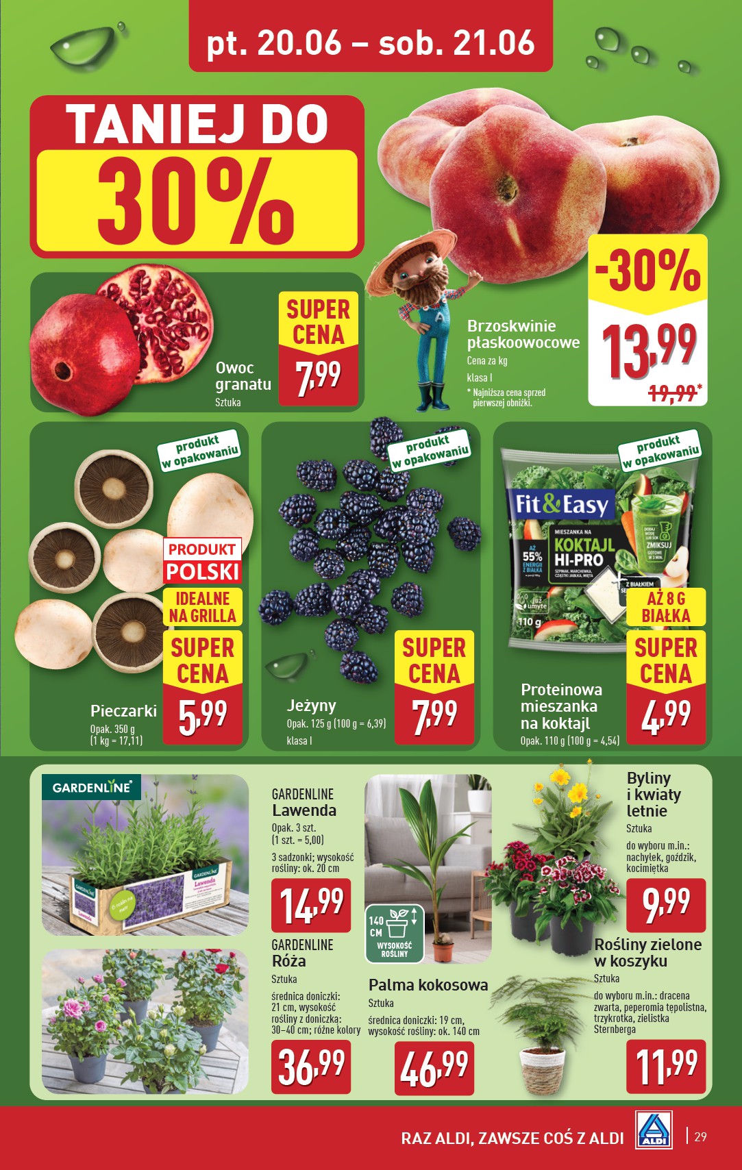 aldi - Gazetka ALDI ważna od 16.06. - 21.06. - page: 29