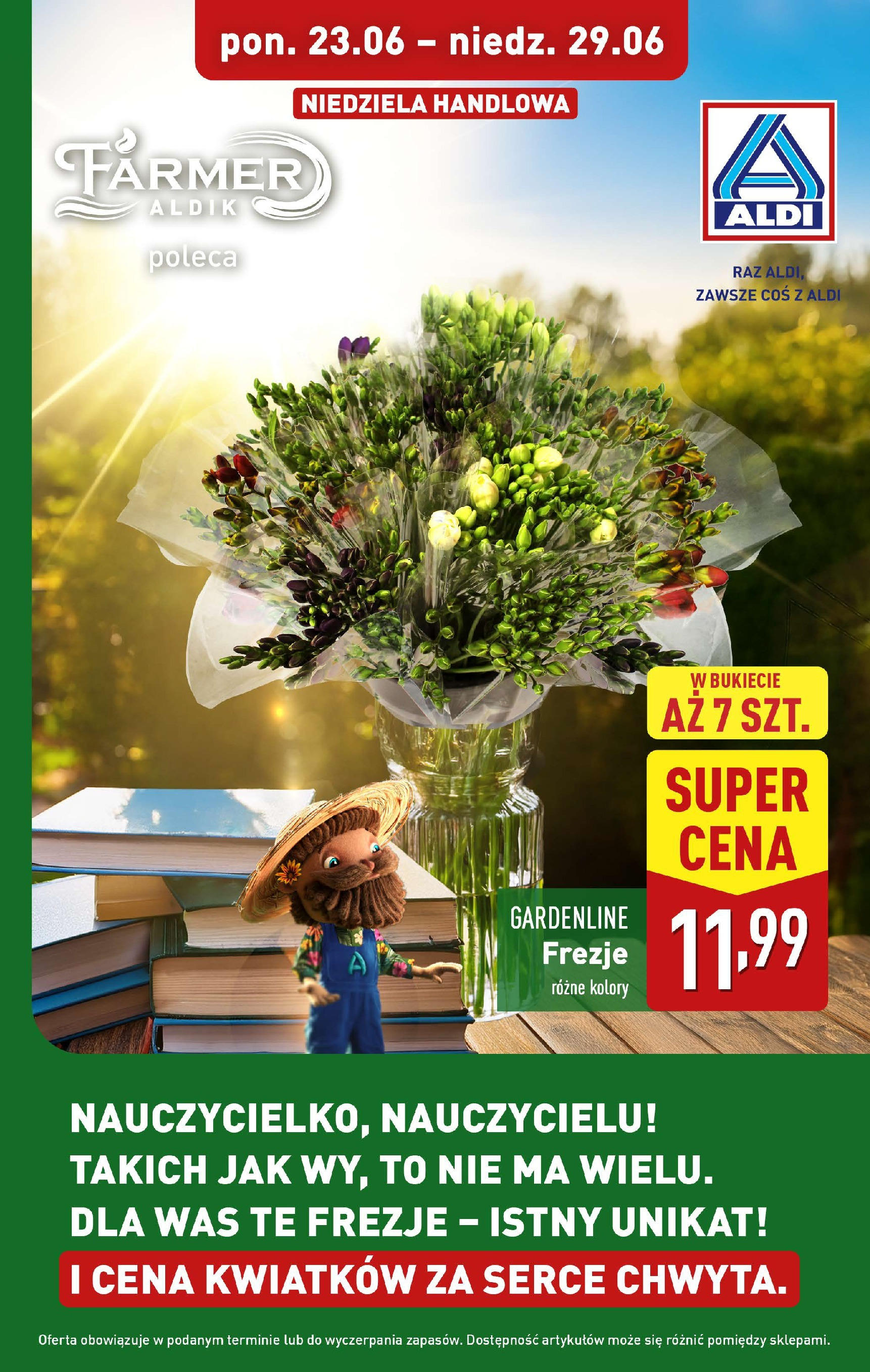 aldi - Gazetka ALDI - Frezje ważna od 23.06. - 29.06.