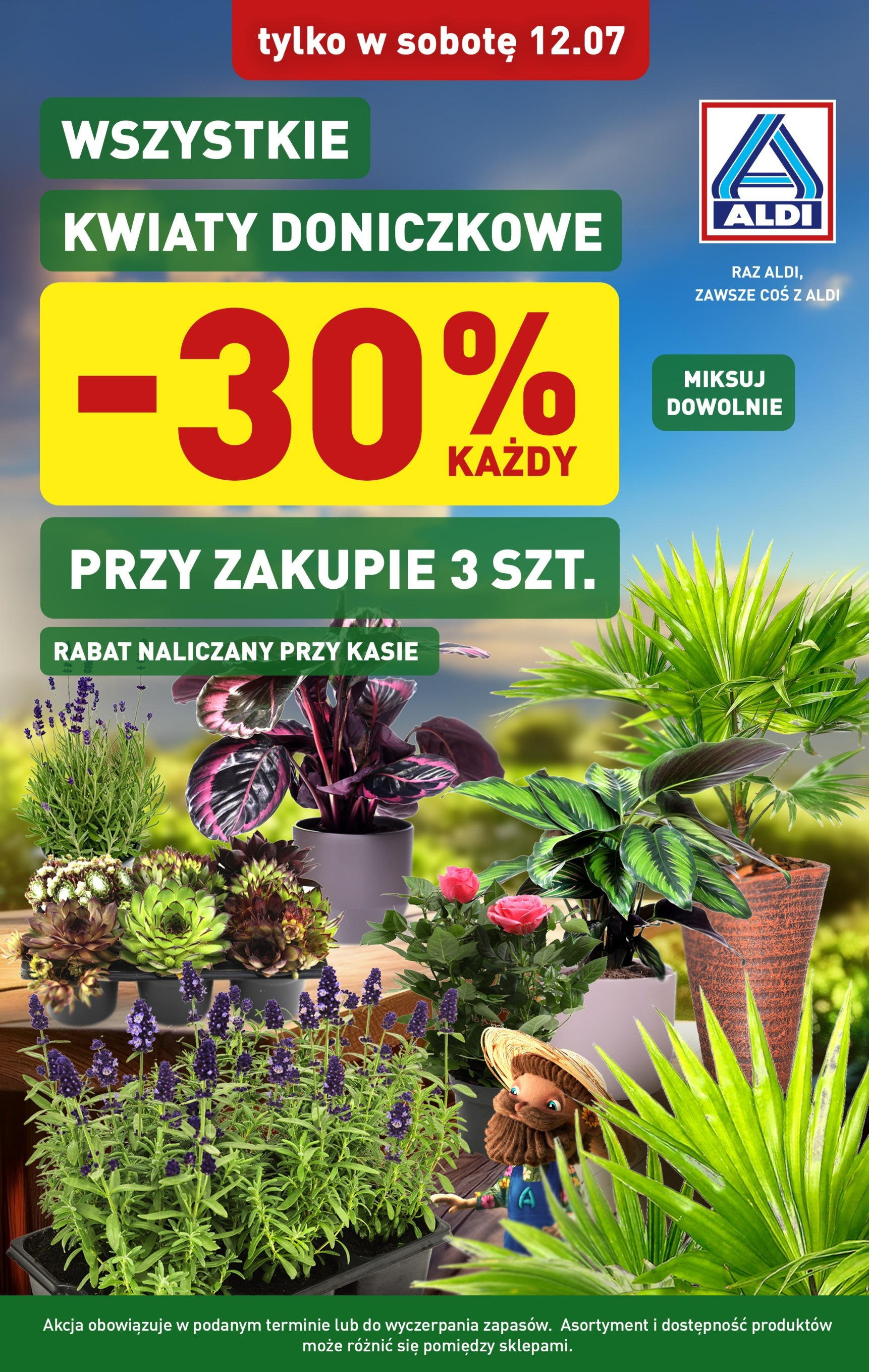 aldi - Gazetka ALDI - Kwiaty ważna od 12.07. - 12.07.